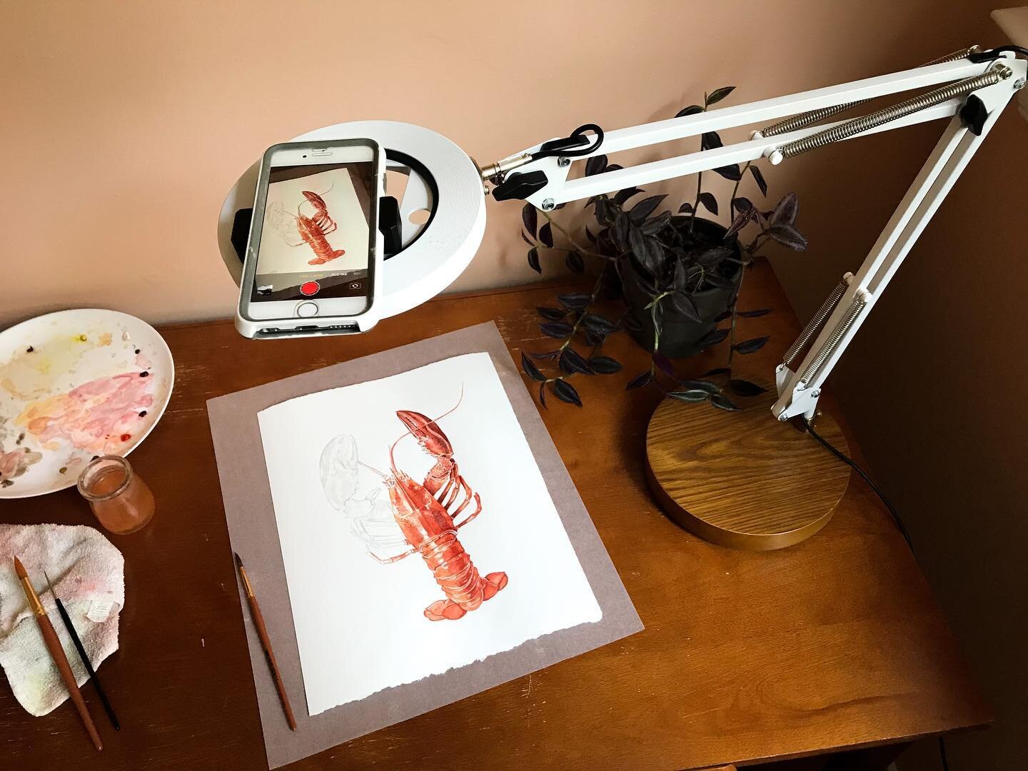 Some shots of my @shopcanvas.co lamp in use. this is one of my most used tools in the studio. It has a flexible moveable phone holder, and a very flexible reach so that I can capture my painting process, whether I am working very small or very large.