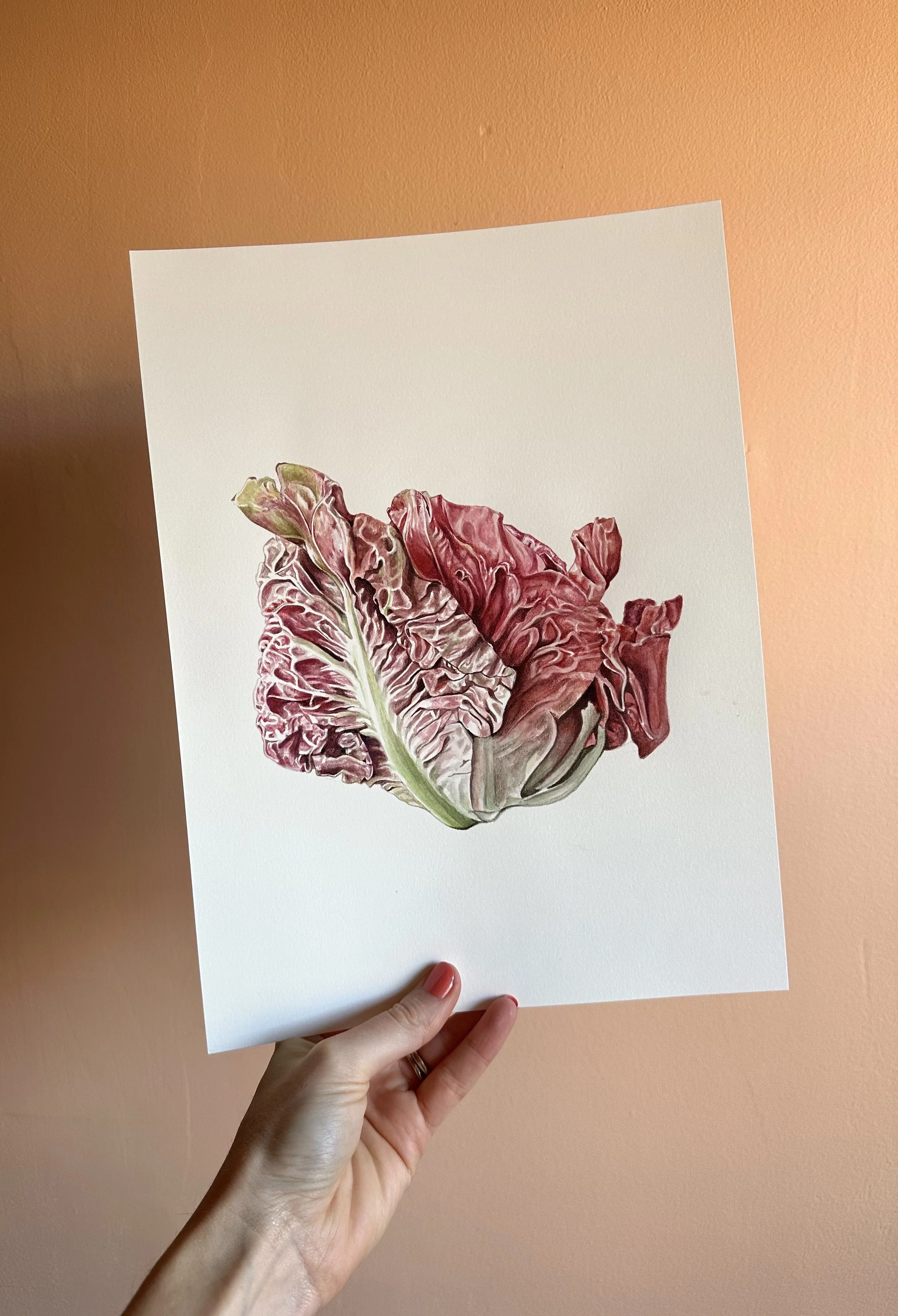 Original Pink Chicory Painting