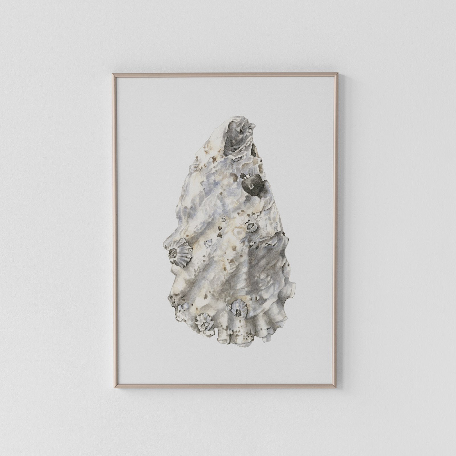 Wild Pacific Oyster Shell Archival Print
