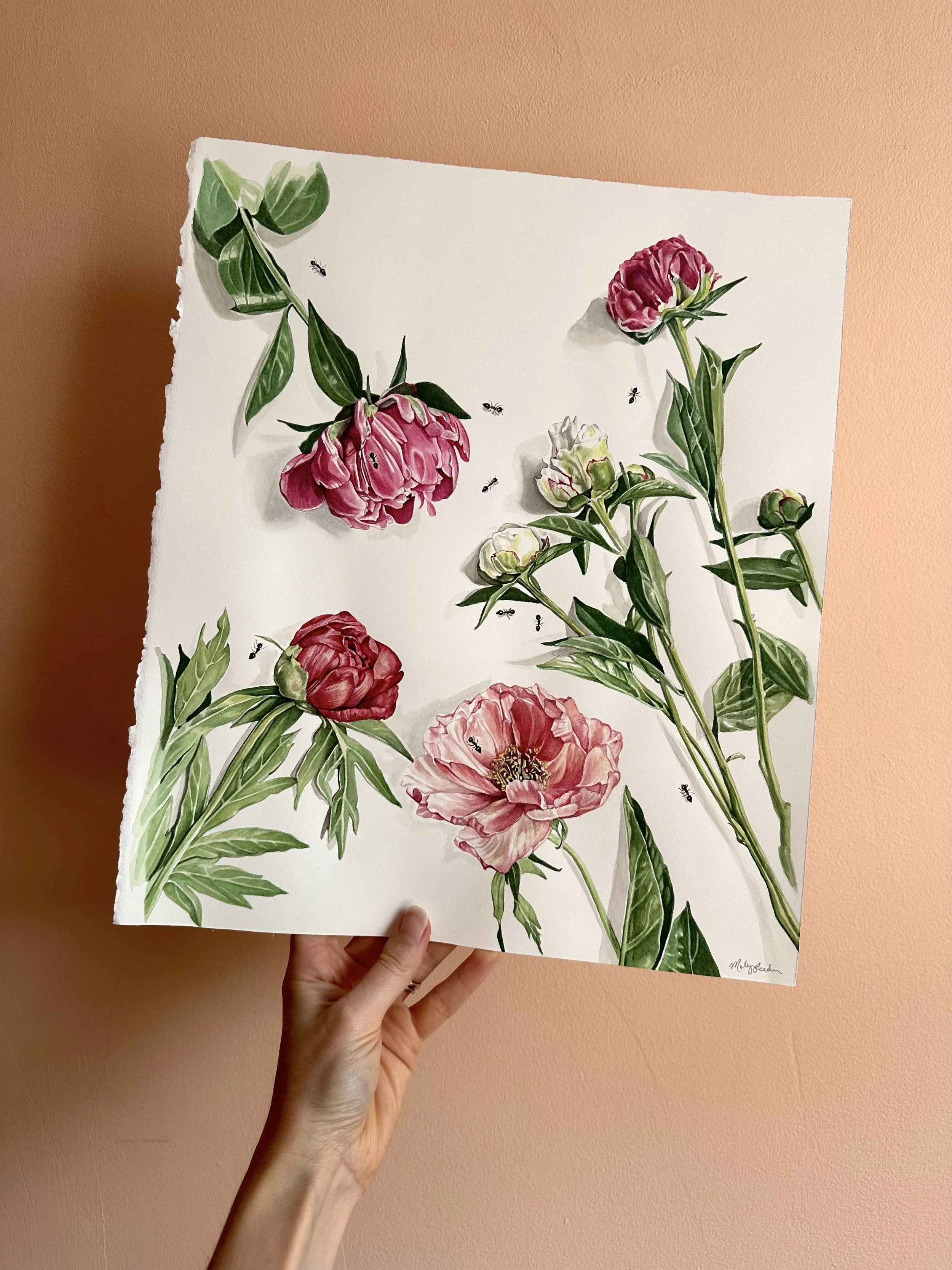 PeonyPainting.jpg