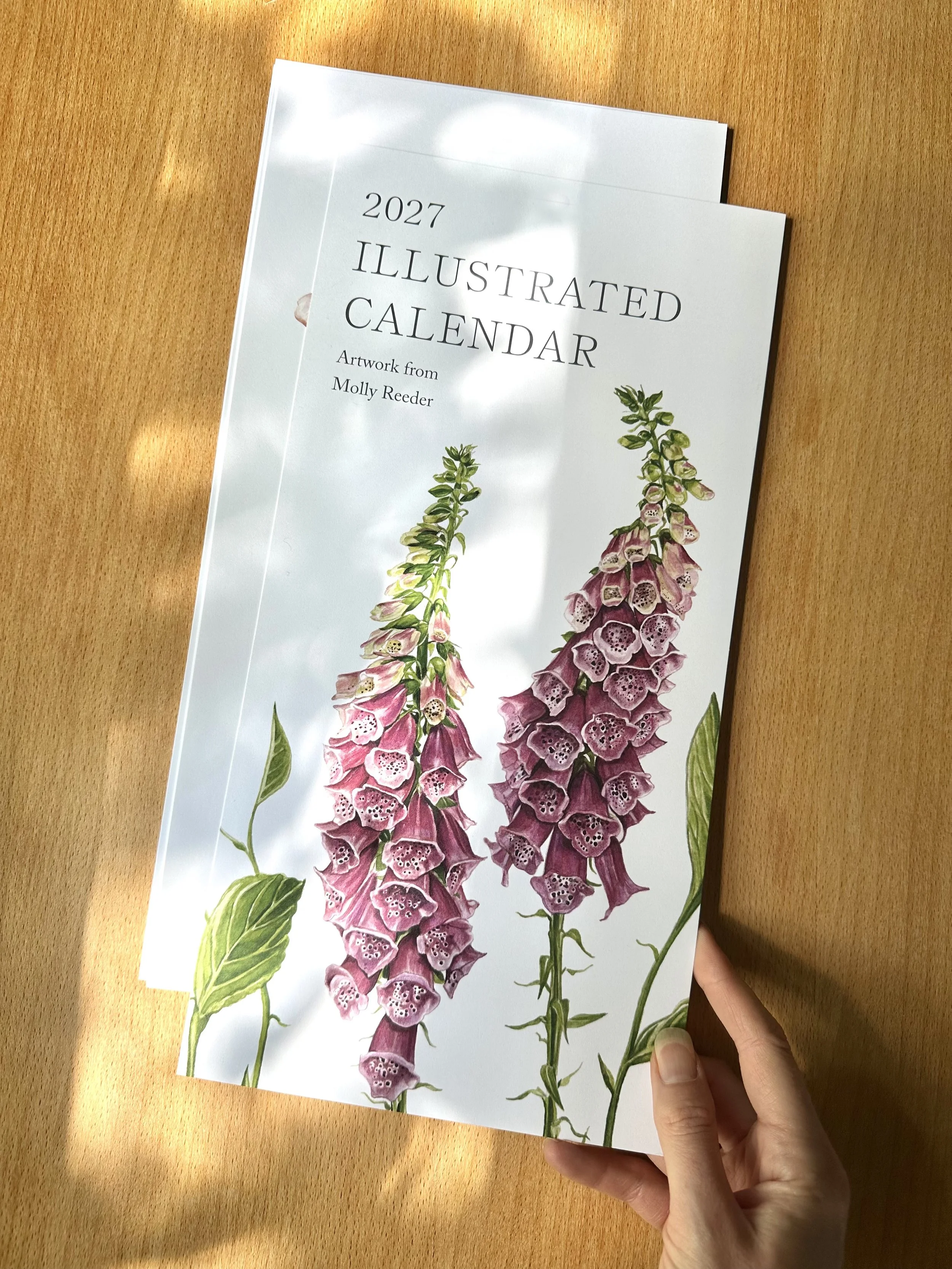 *Pre-Order* 2027 Illustrated Calendar
