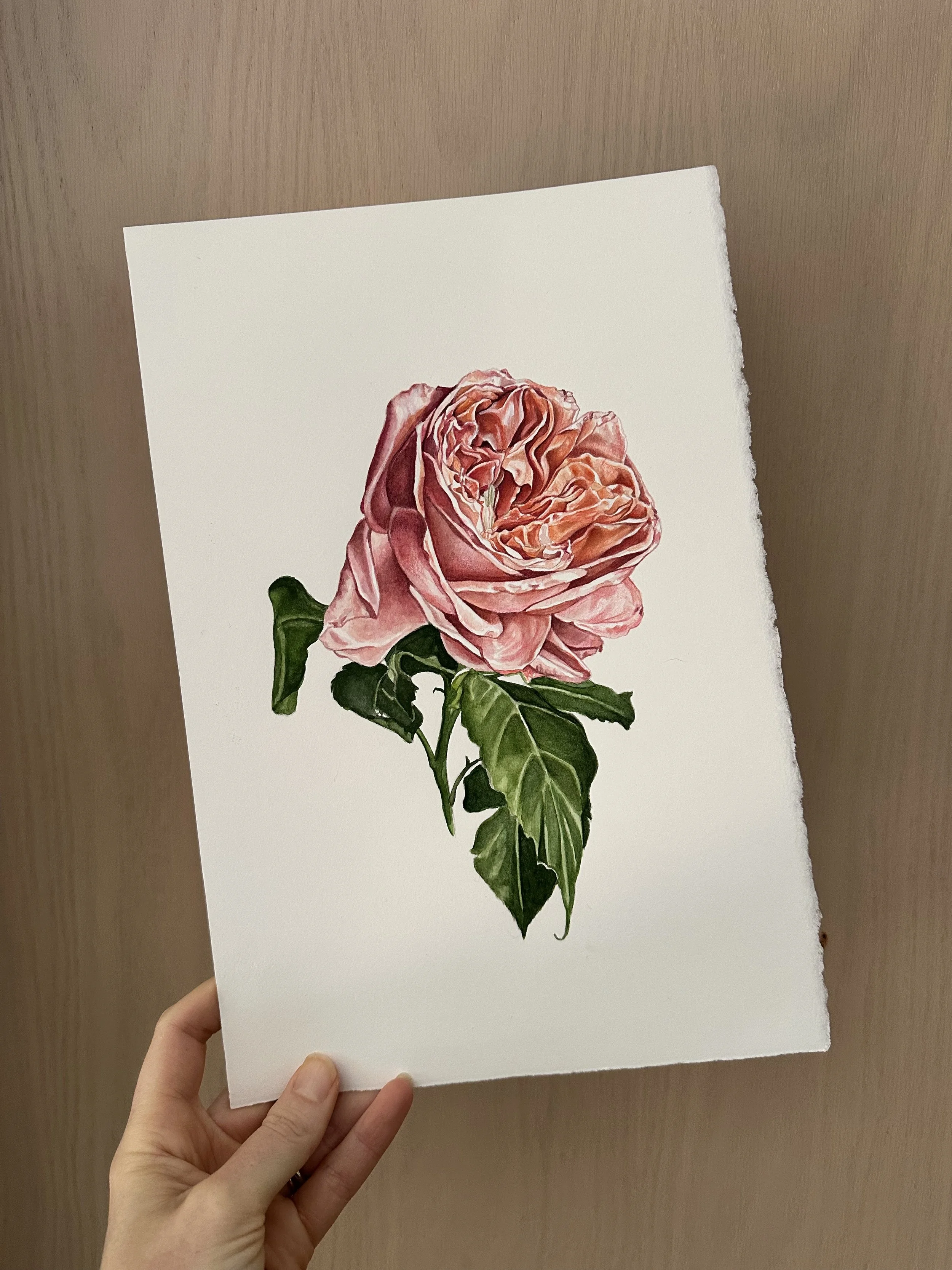 RoseWIP.jpg