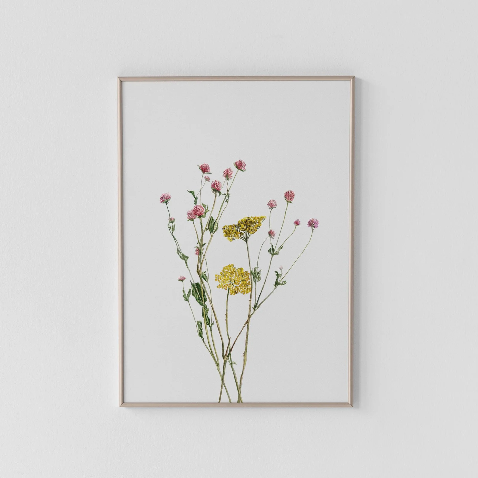 Yarrow and Gomphrena Blossoms Archival Print