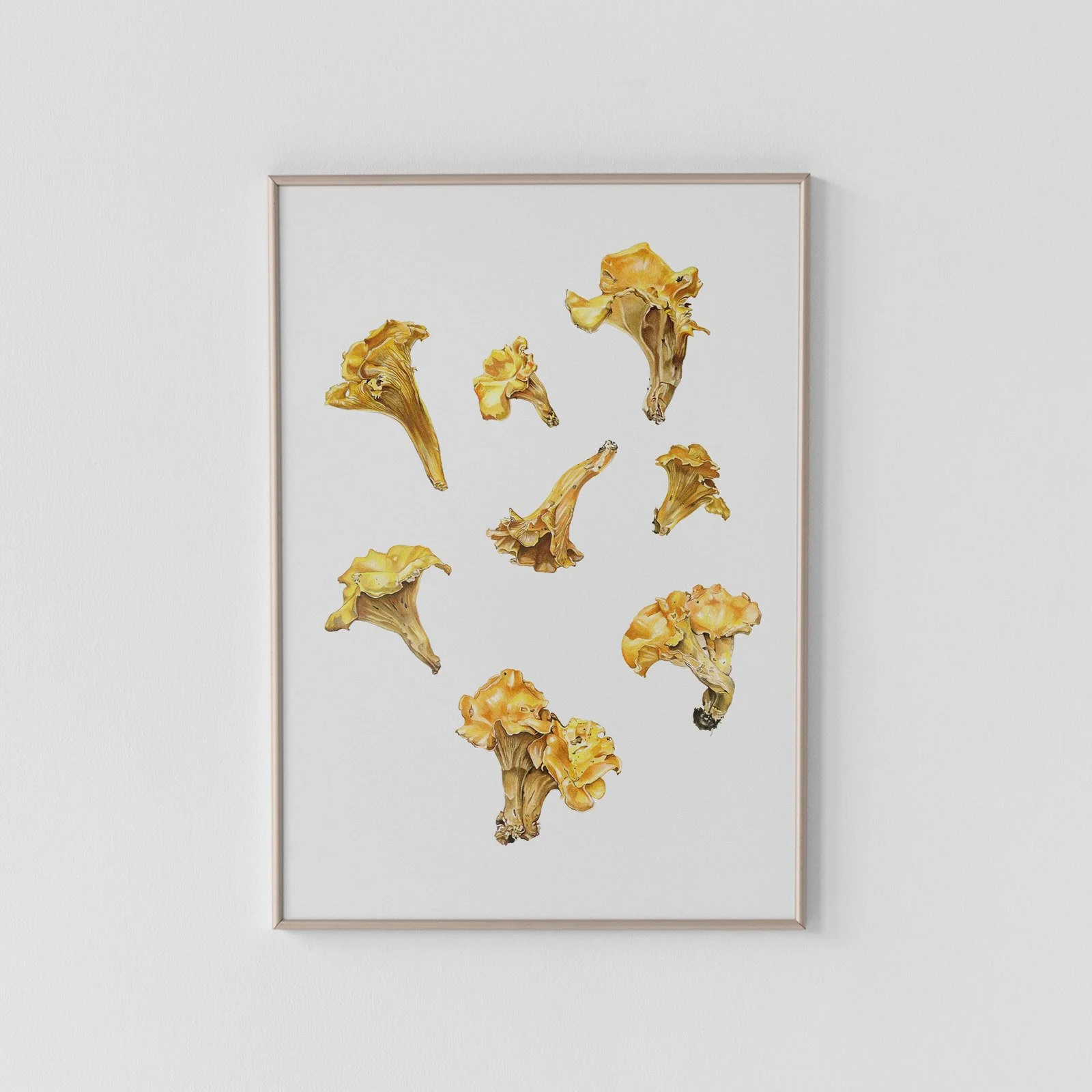 'Freedom' -Chanterelles from Warm Springs Mountain Archival Print