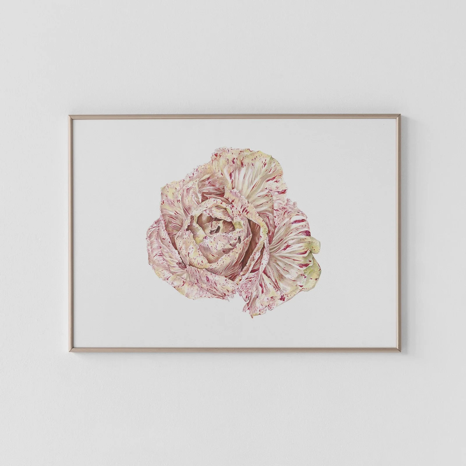 Radicchio variegata di Lusia Archival Print