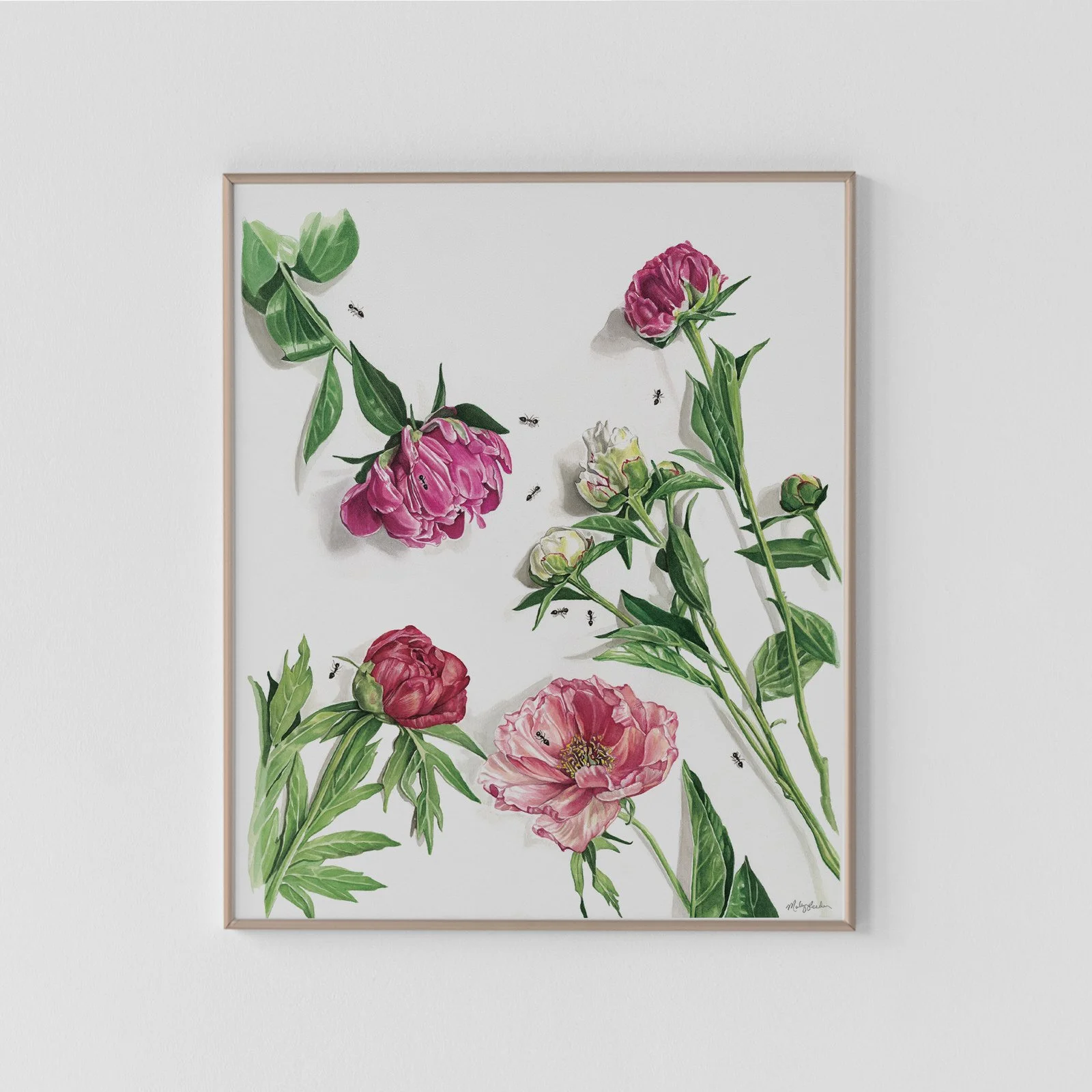 Anty Panty Peonies