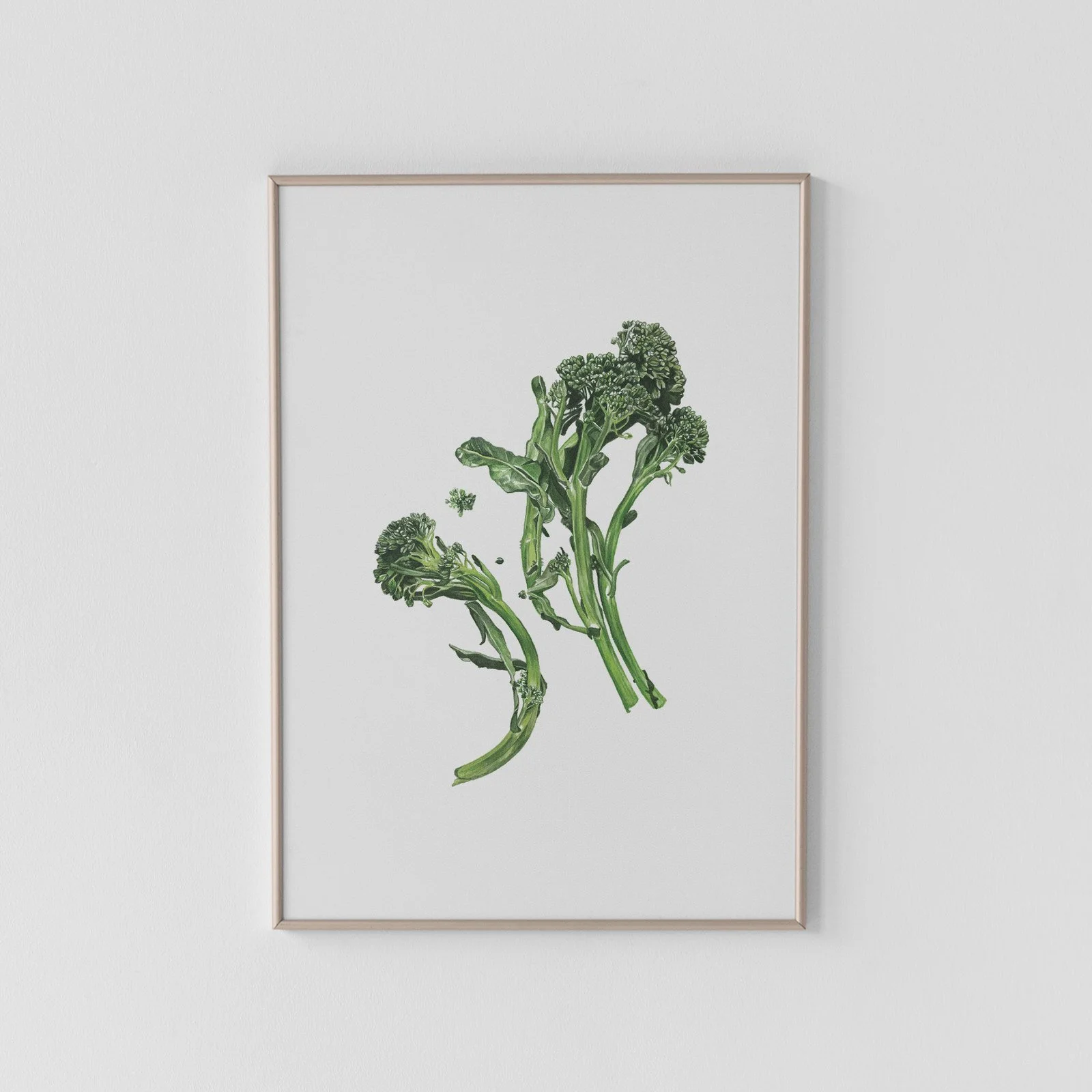 Broccolini Archival Print