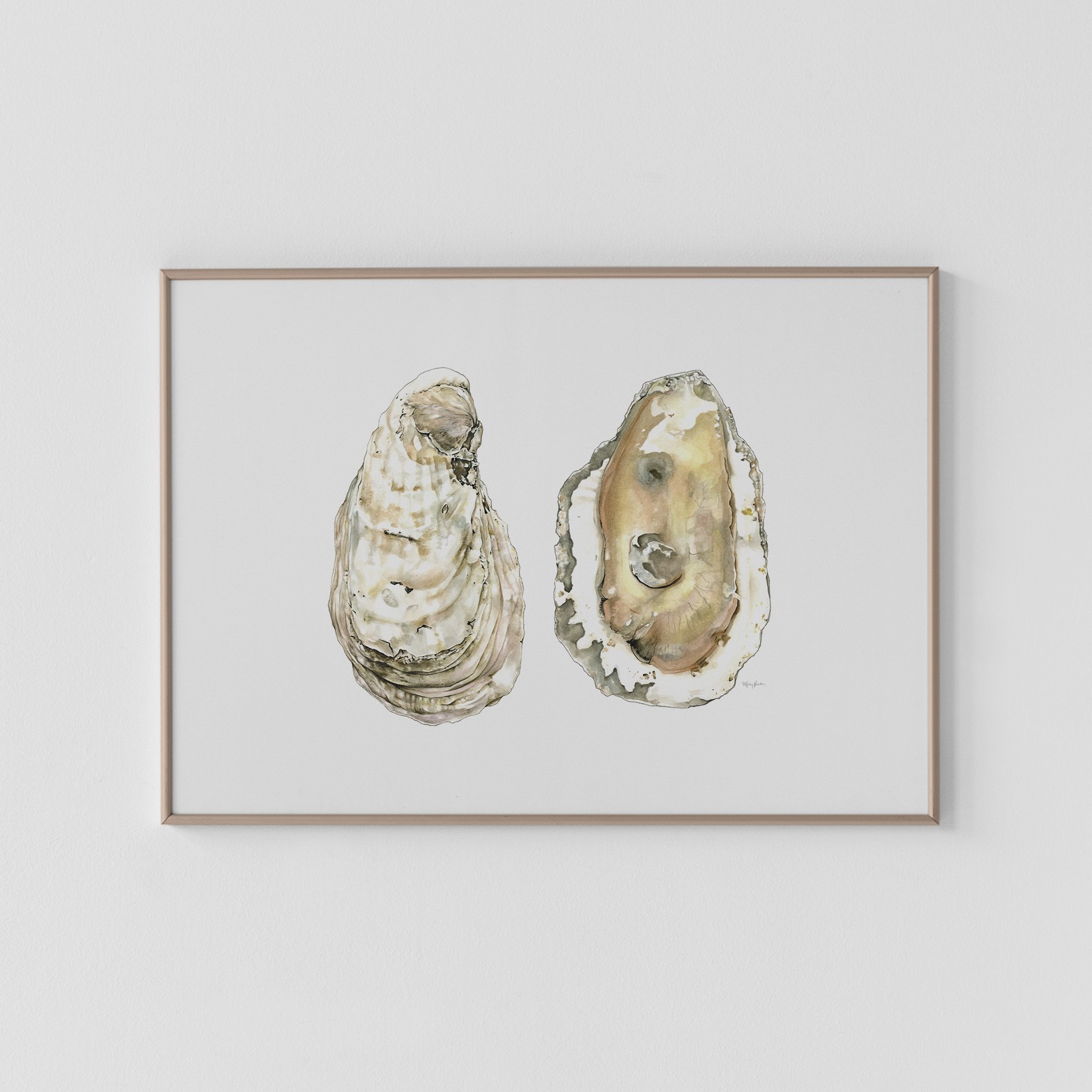 Small White Stone Oyster II Print (11x14")