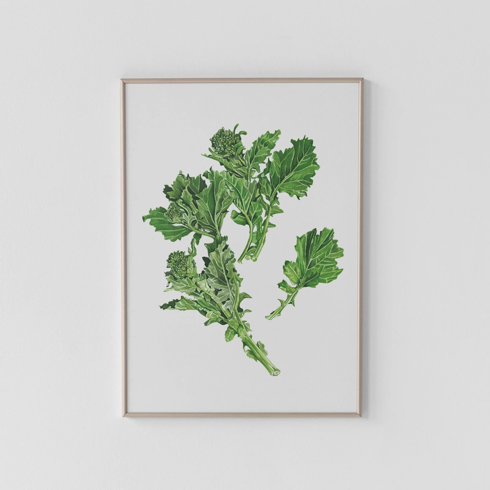 Rapini Archival Print