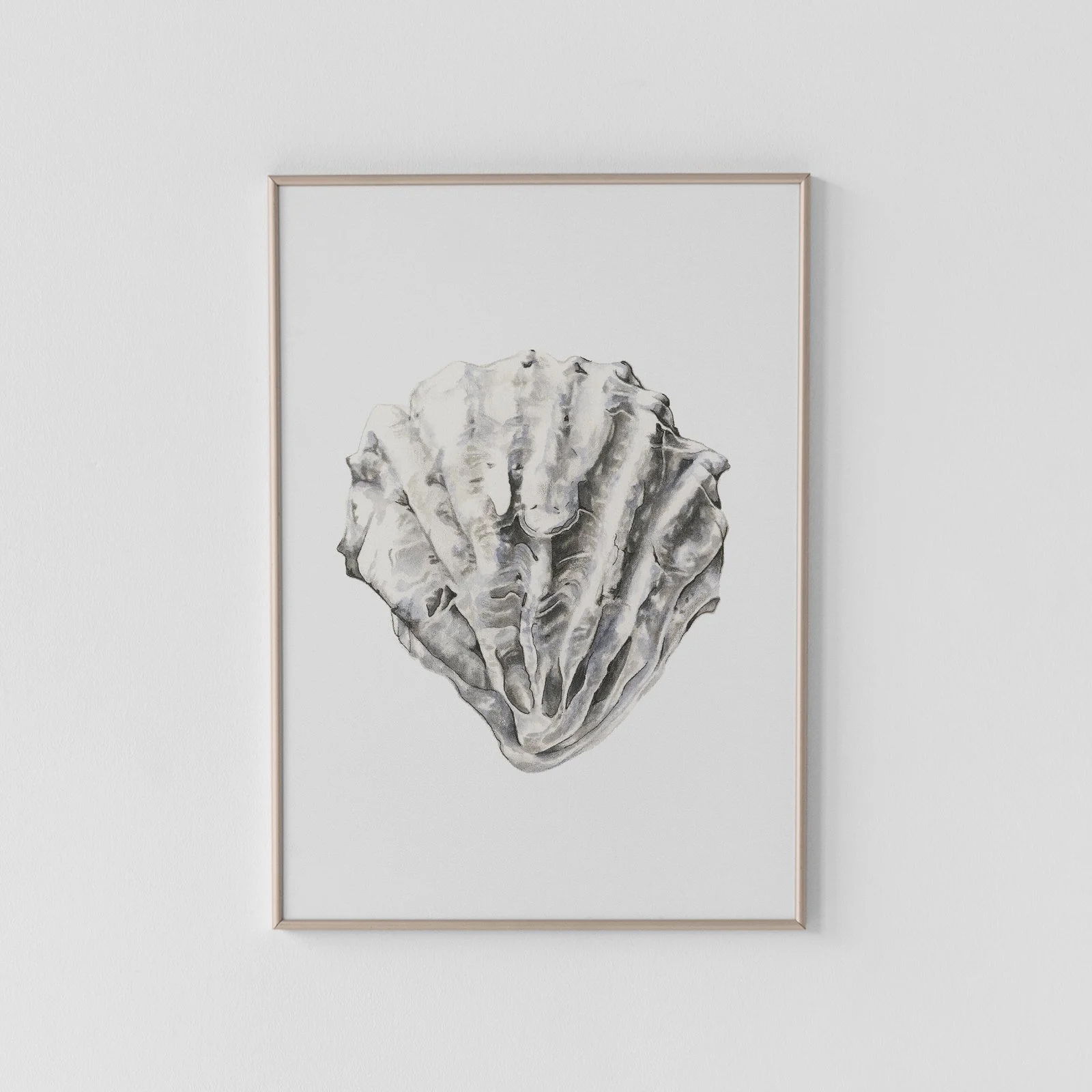 Kumamoto Oyster Shell Archival Print