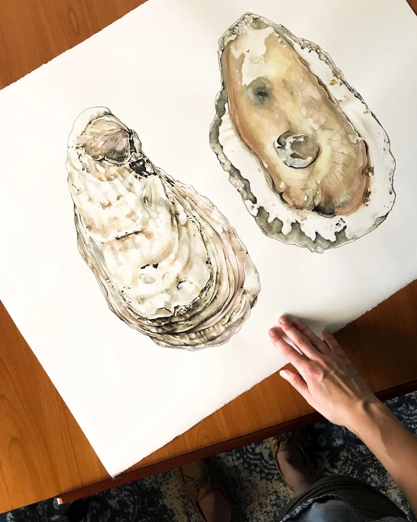 A watercolor painting of two oyster shells, one open with an oyster inside it, on a white background.