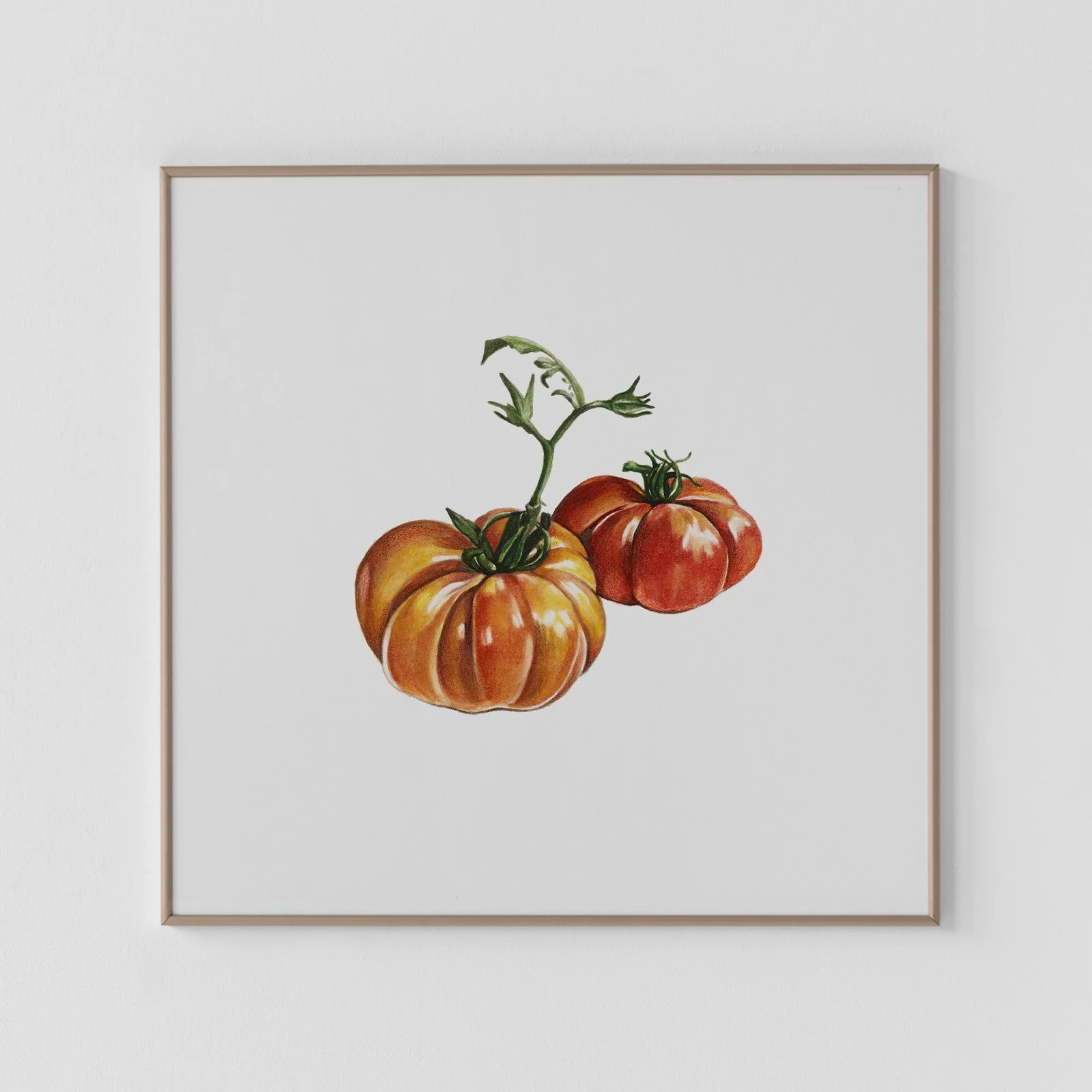 Costoluto Tomato Archival Print