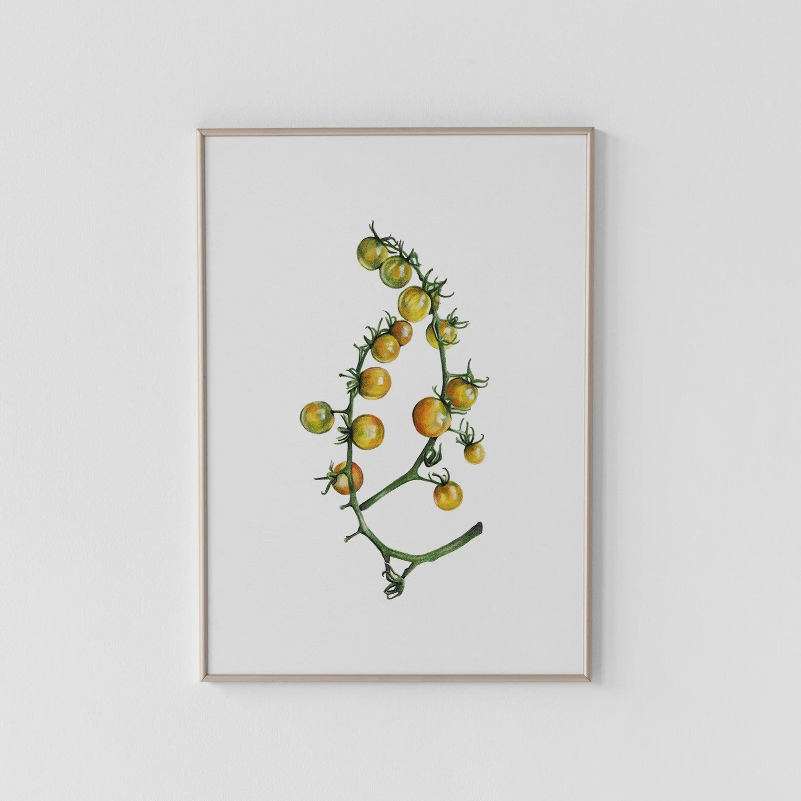 Sungold Tomatoes Archival Print
