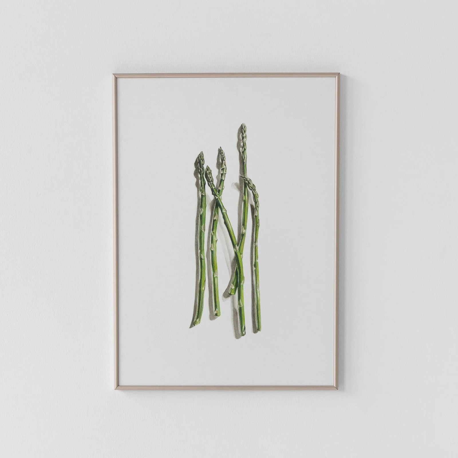 Asparagus Archival Print