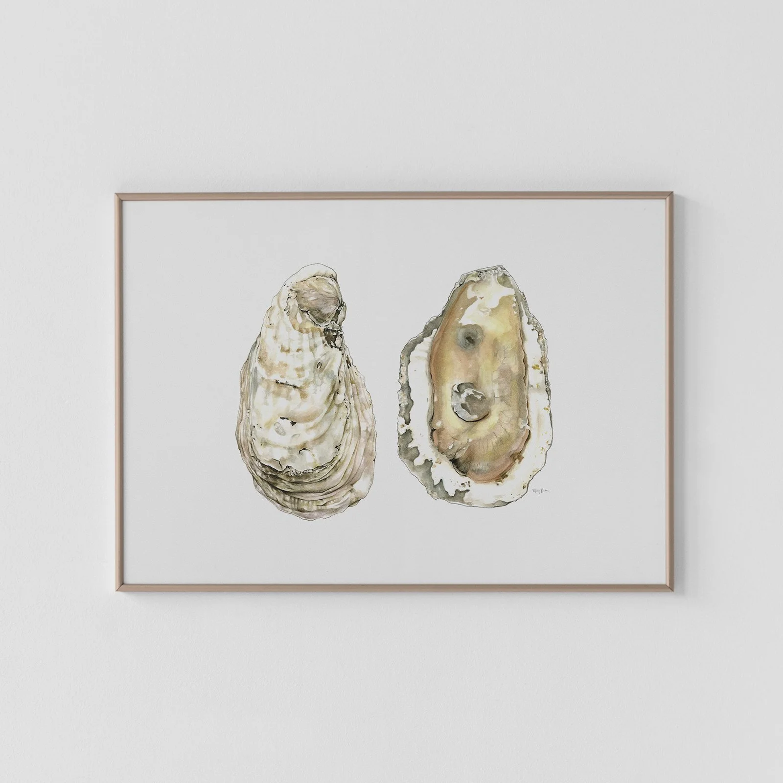 Large White Stone Oyster Print