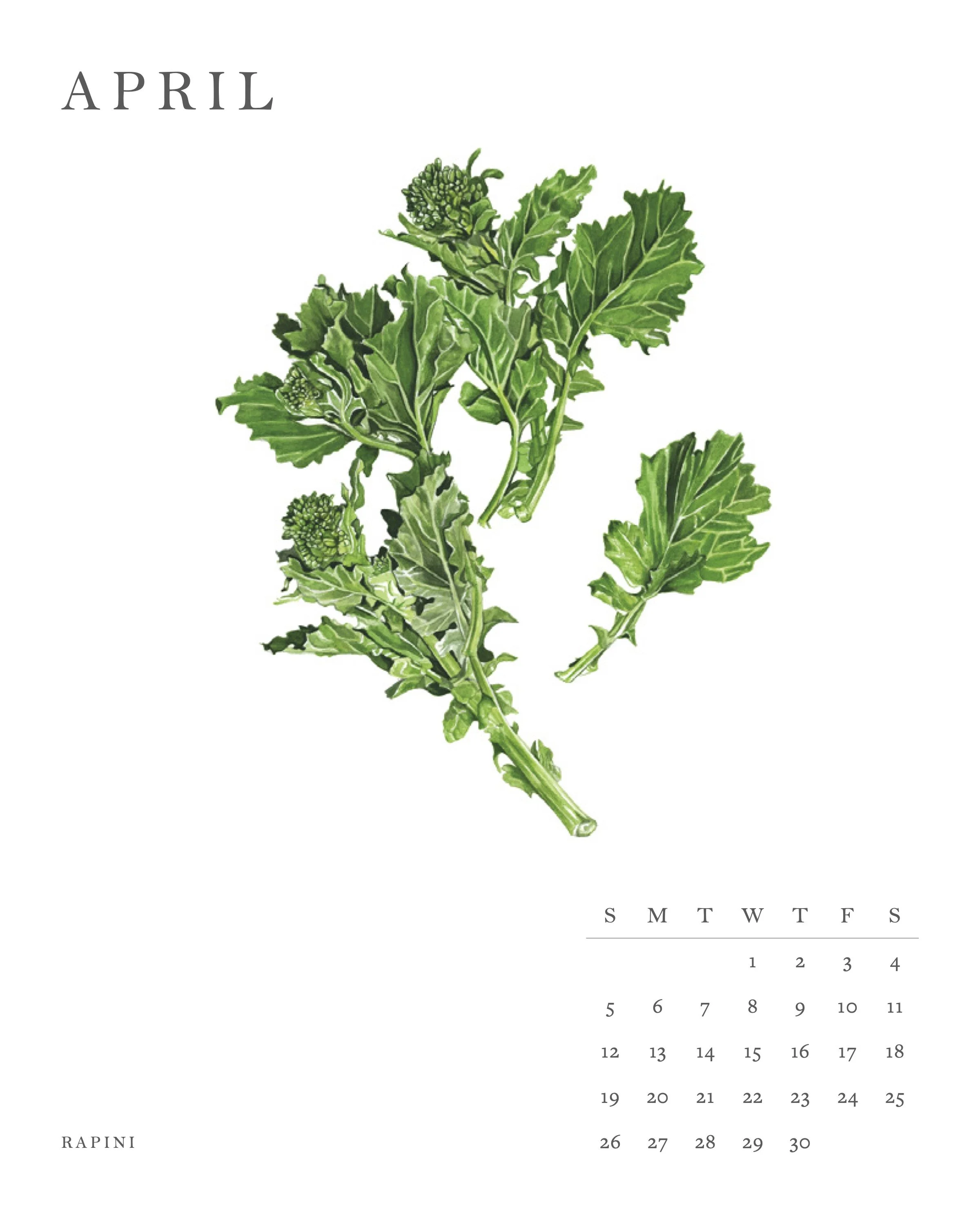 April Rapini page.jpg