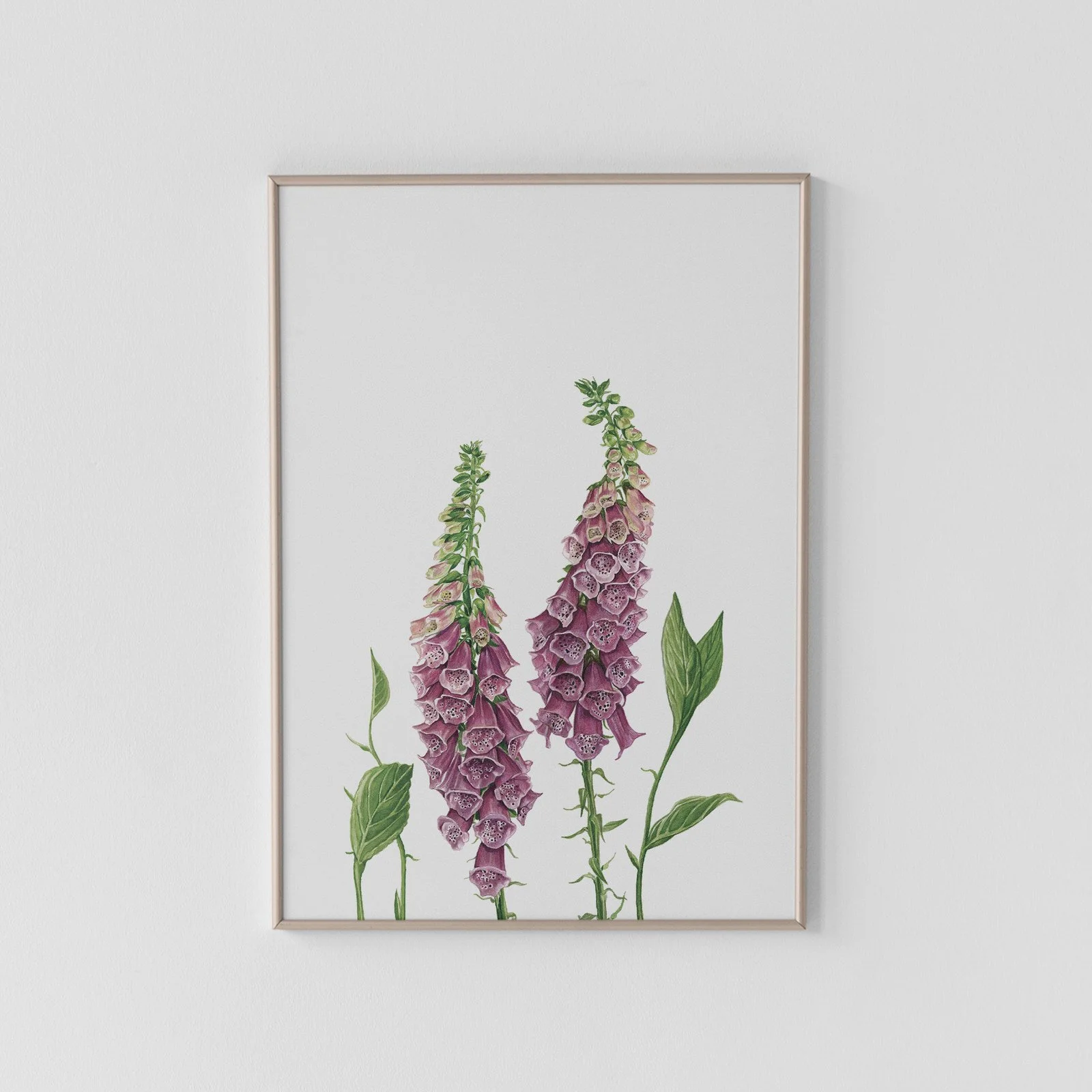 Foxgloves Archival Print