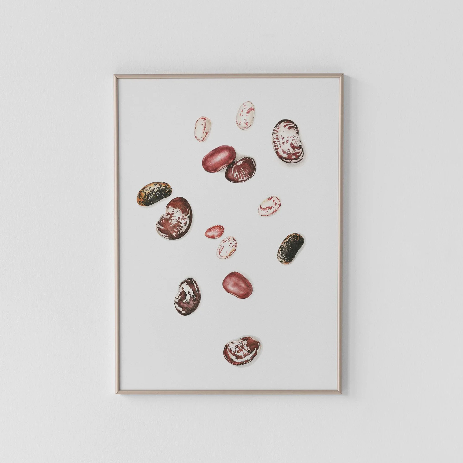 Big Heirloom Beans Archival Print