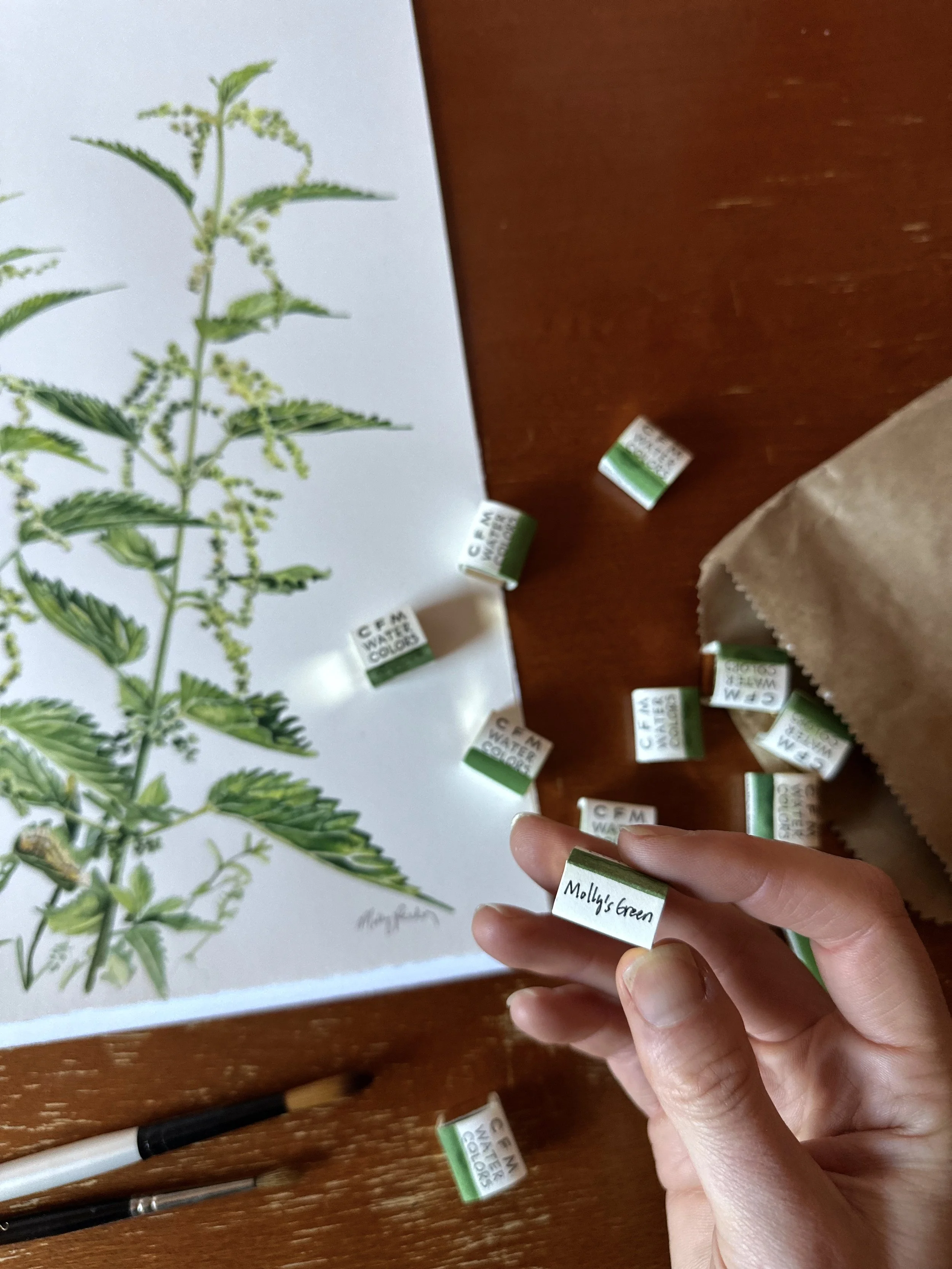 MollysGreen3.jpg