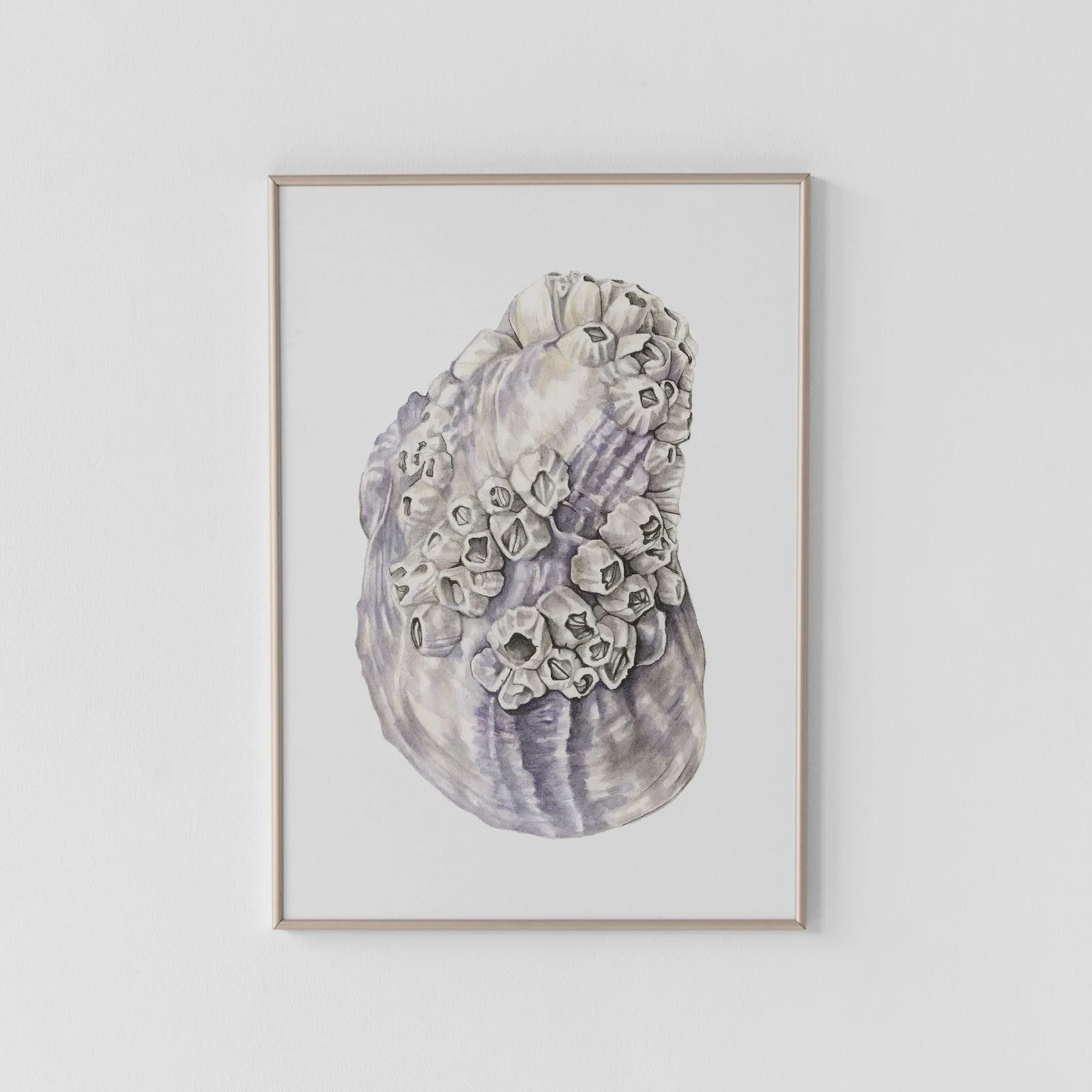 Shigoku Oyster Shell Archival Print