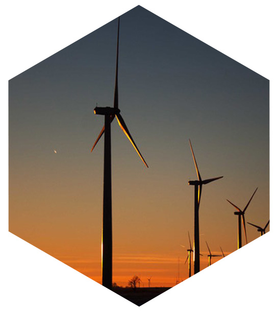Wind power farm
