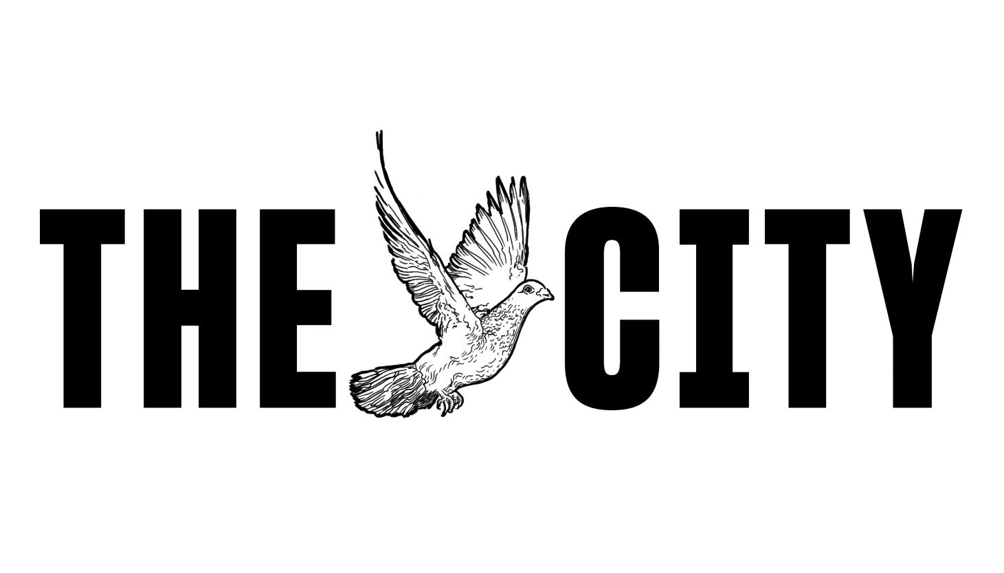 Albany Lawmakers Plot Climate Priorities and Ways to Find Green