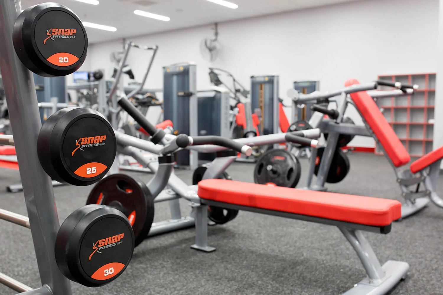 Snap Fitness, Queenstown — Design Base Architects