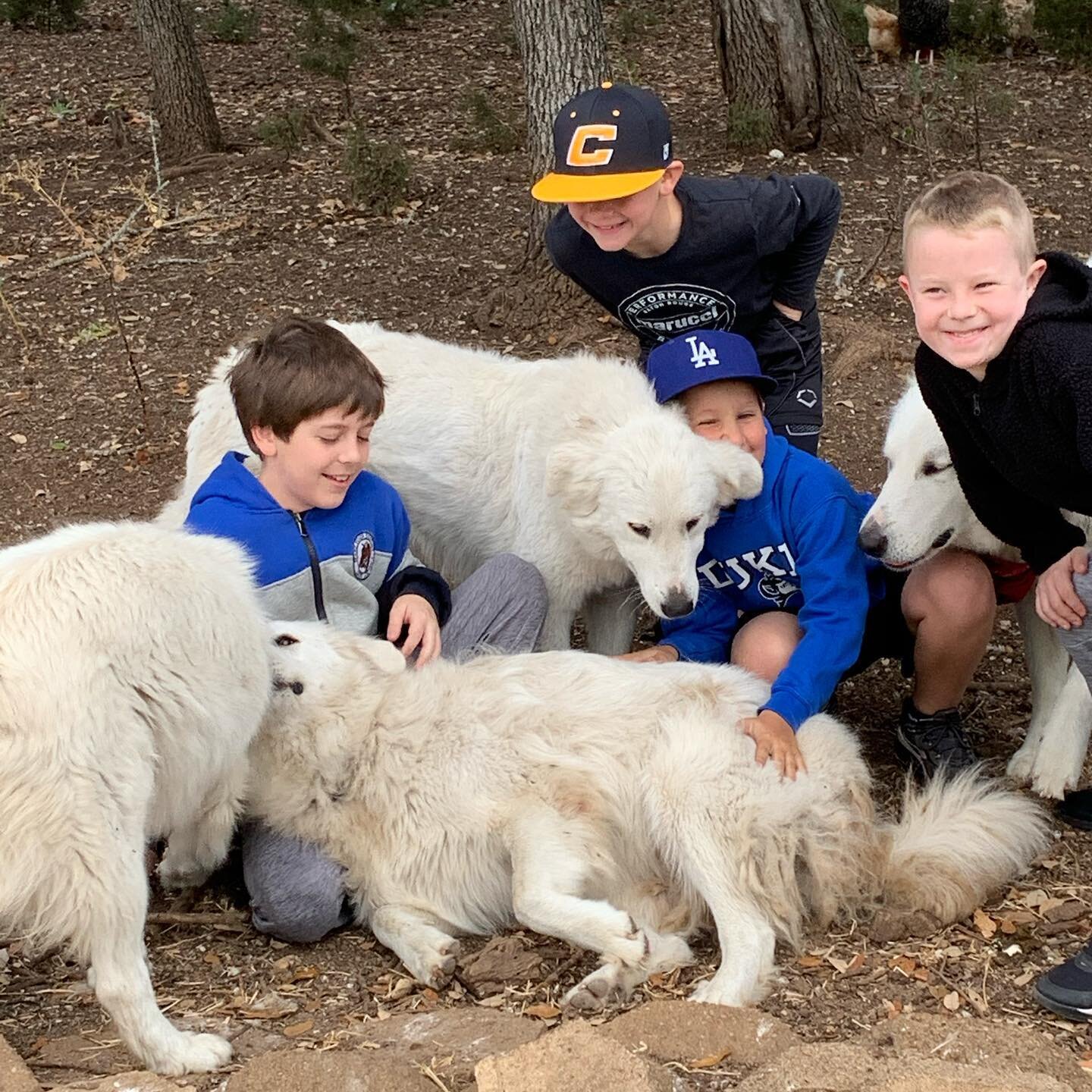 Farm Friday - Oct 29