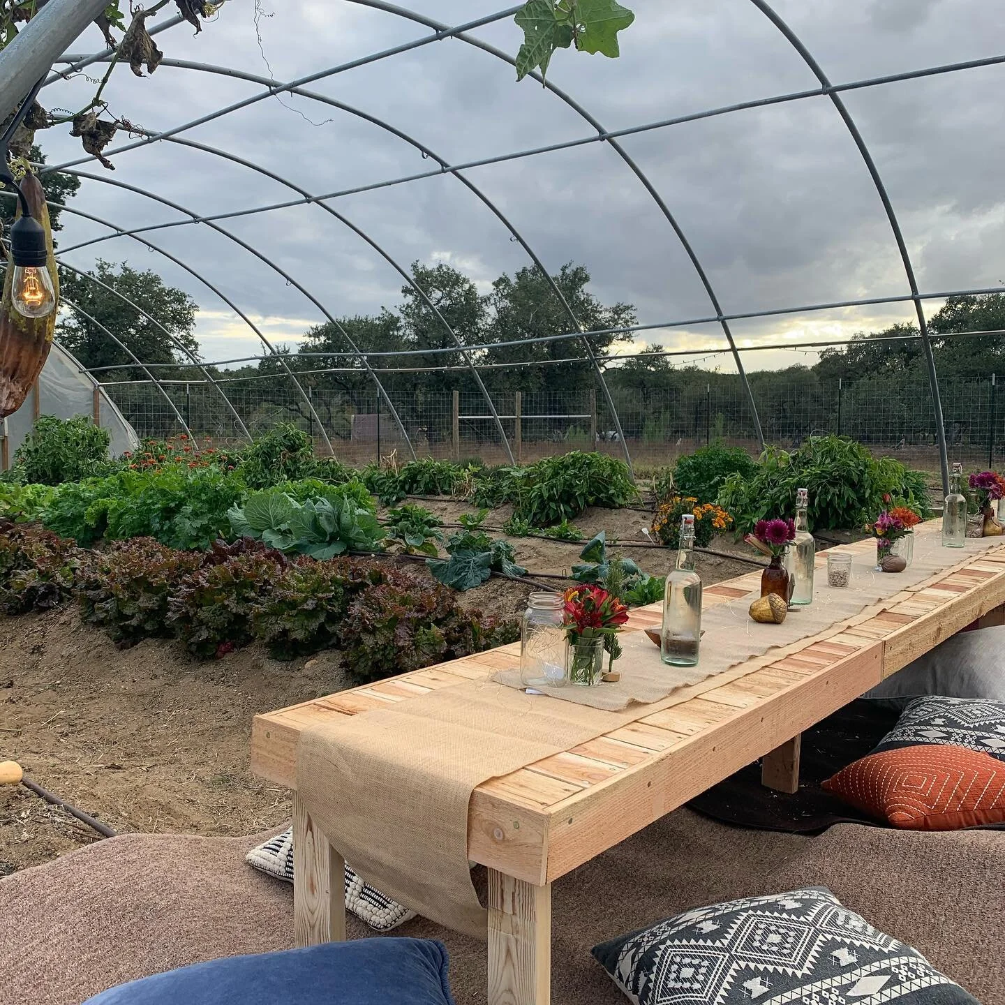 Garden Dinner 