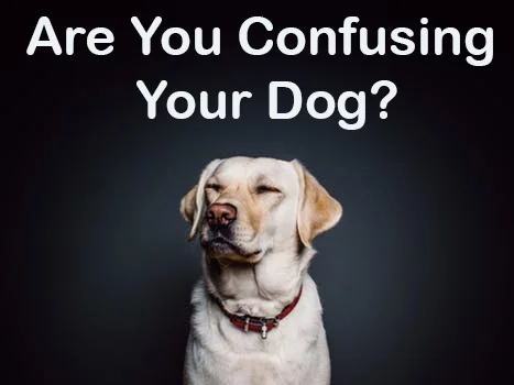 confusing.jpg