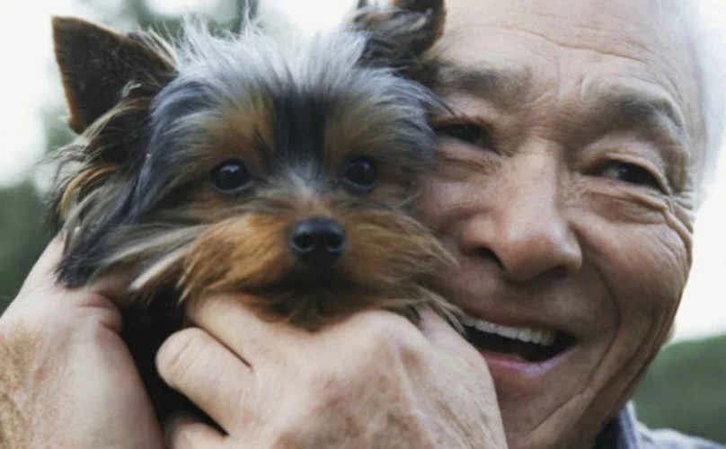 yorkie-elderly-man.jpg
