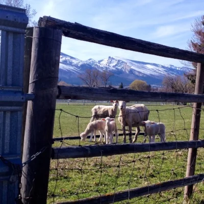 Friday Joy: Winter, Spring