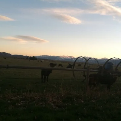 Friday Joy - Willa Cather