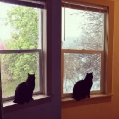 Willa, Spring, Winter.jpg