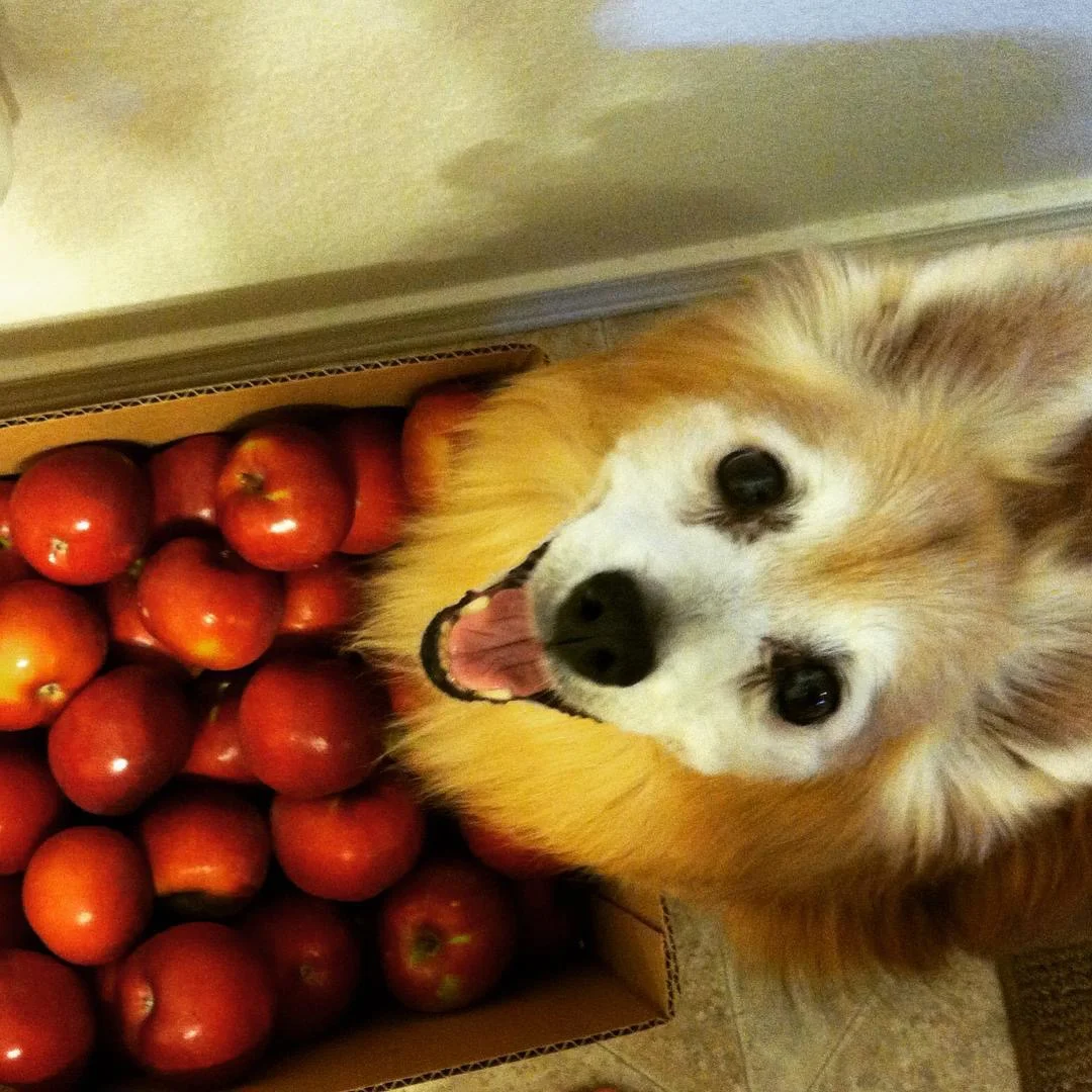 Why I’ve Been Gone, How I’m Coming Back