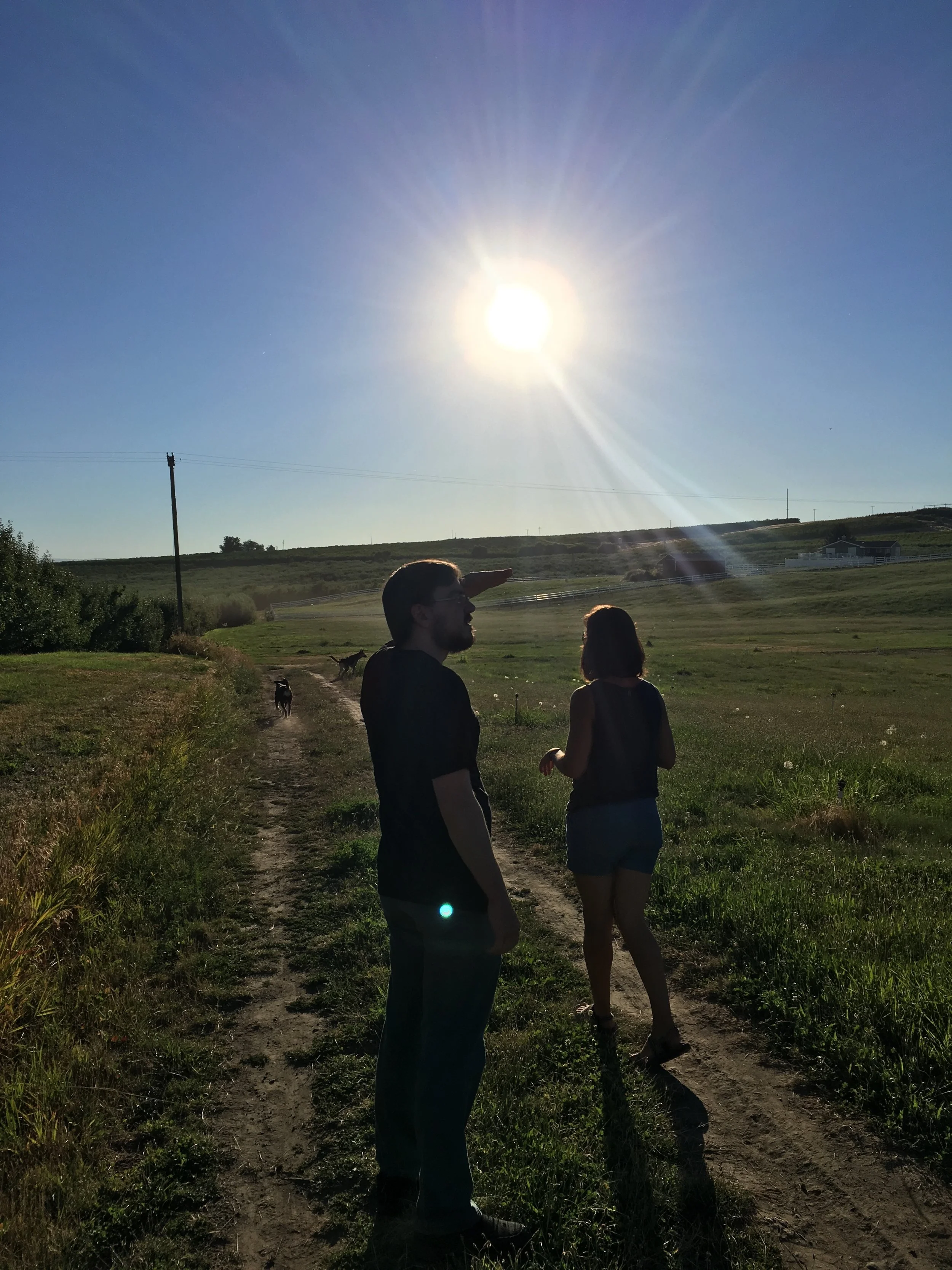 You've Got to Choose It