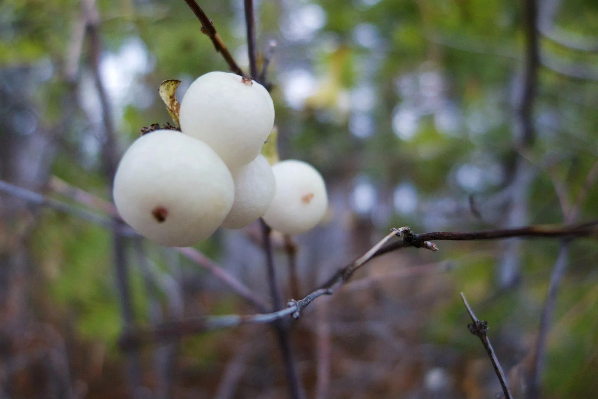 Begin Again: January