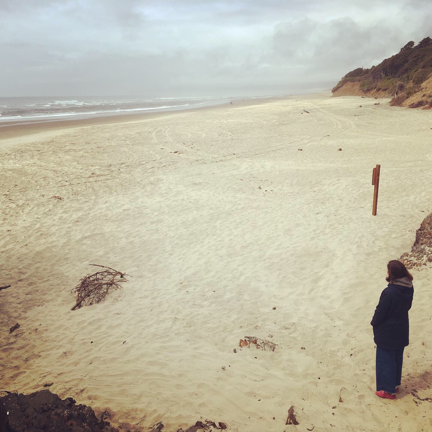 What Do You REALLY Want To Do?