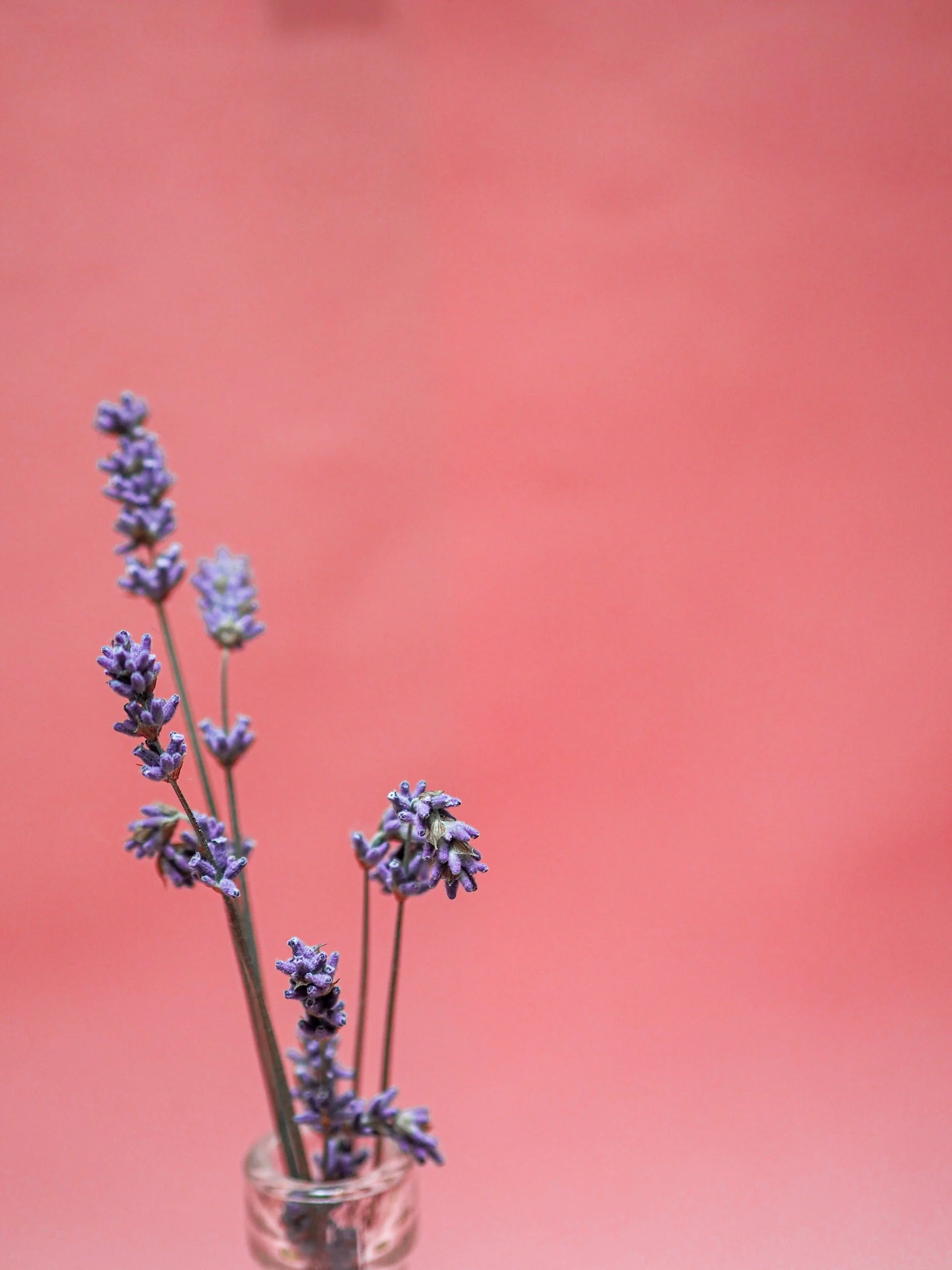 Writing Prompt: Repeating Line Poem