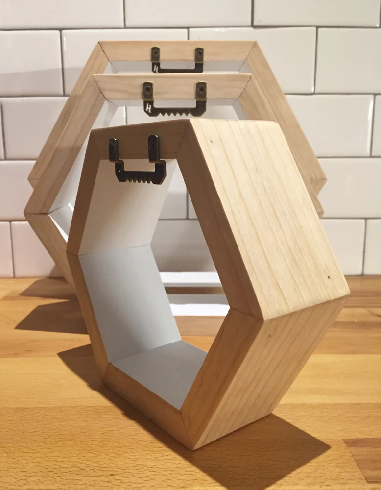 HexagonShelves_WhiteInterior4.jpg