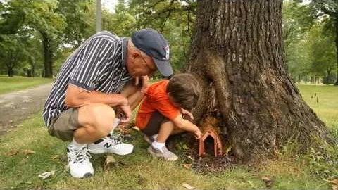 Keebler Tiny Doors Case Study