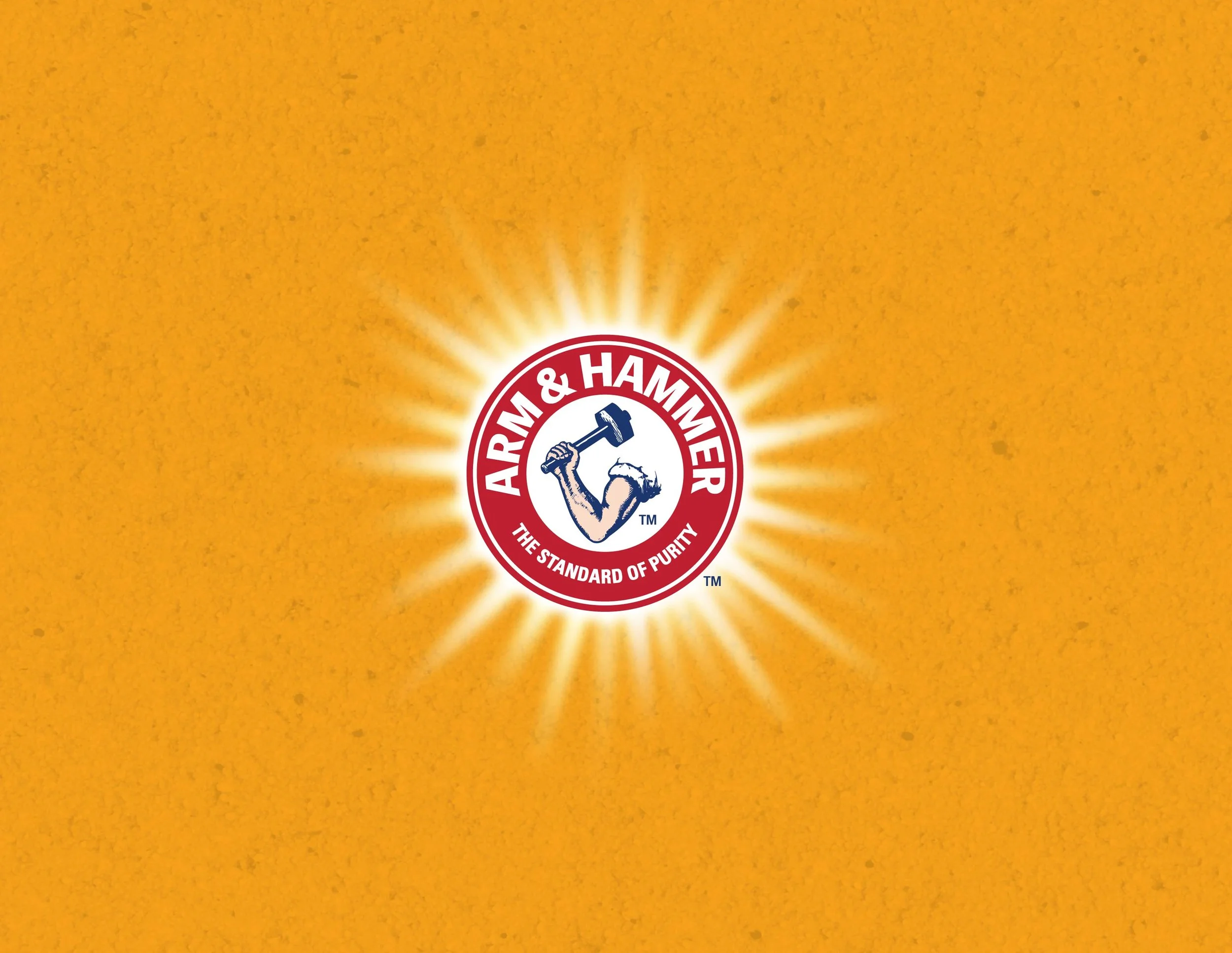 Pages_Banner-02.jpg