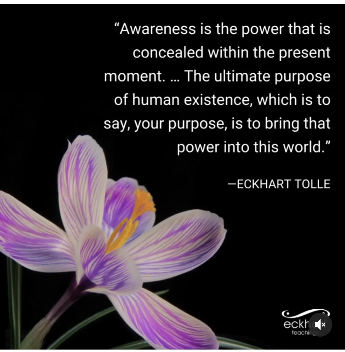 The Principle of Enough Epiphany Deux/Waiting for Enough