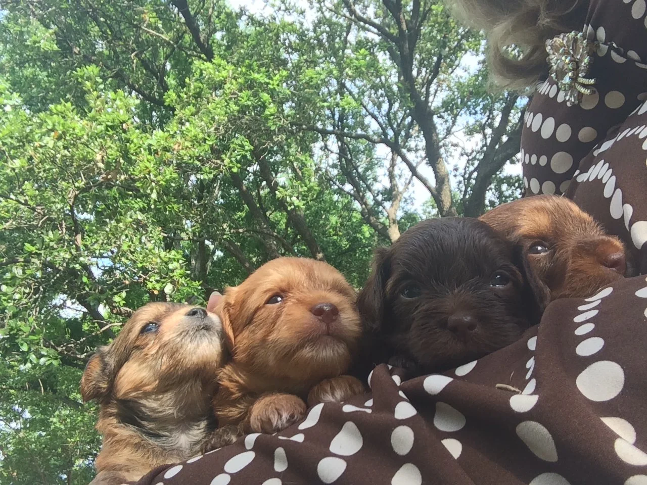 The Knowing of Enough