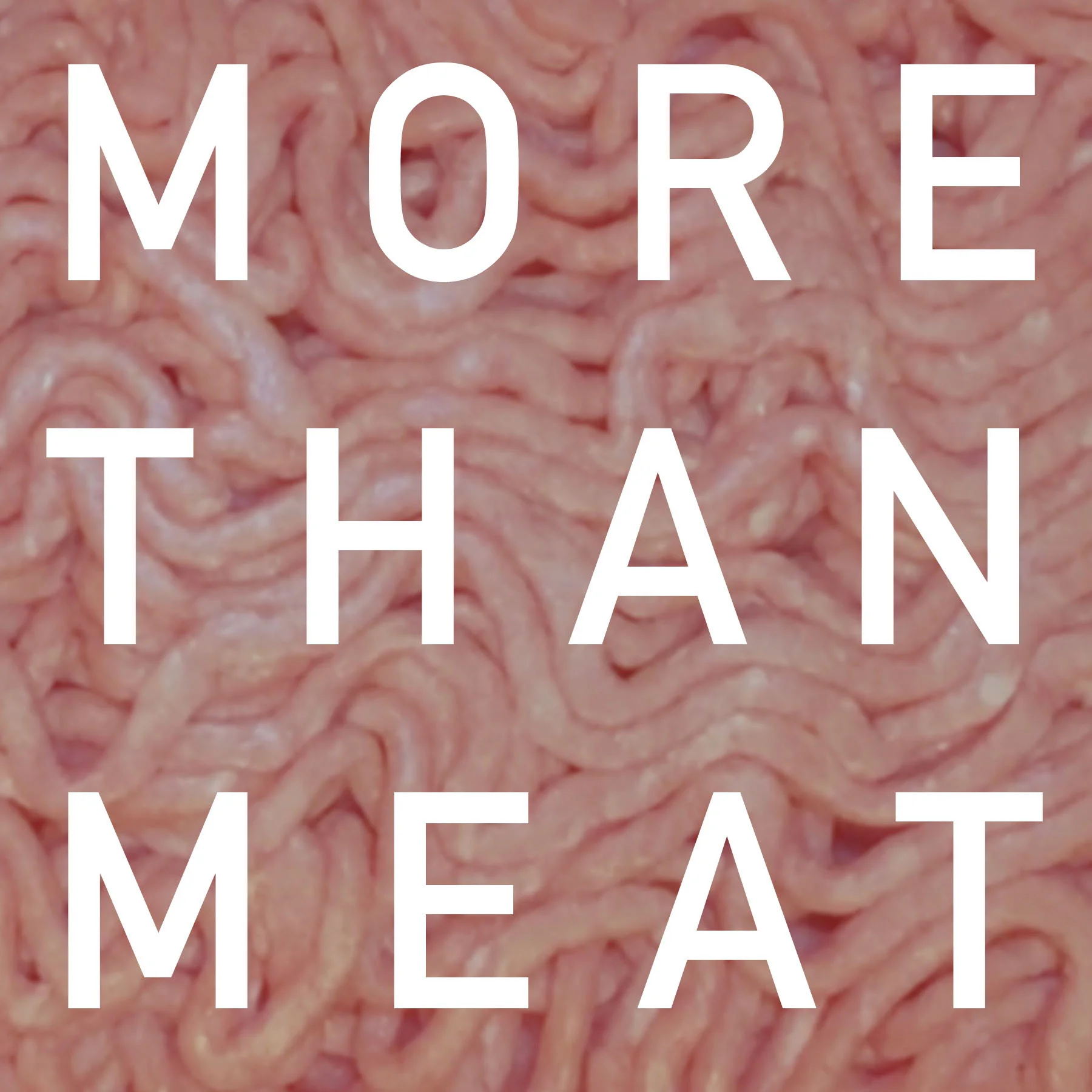 526morethanmeat_cards_draft7.jpg