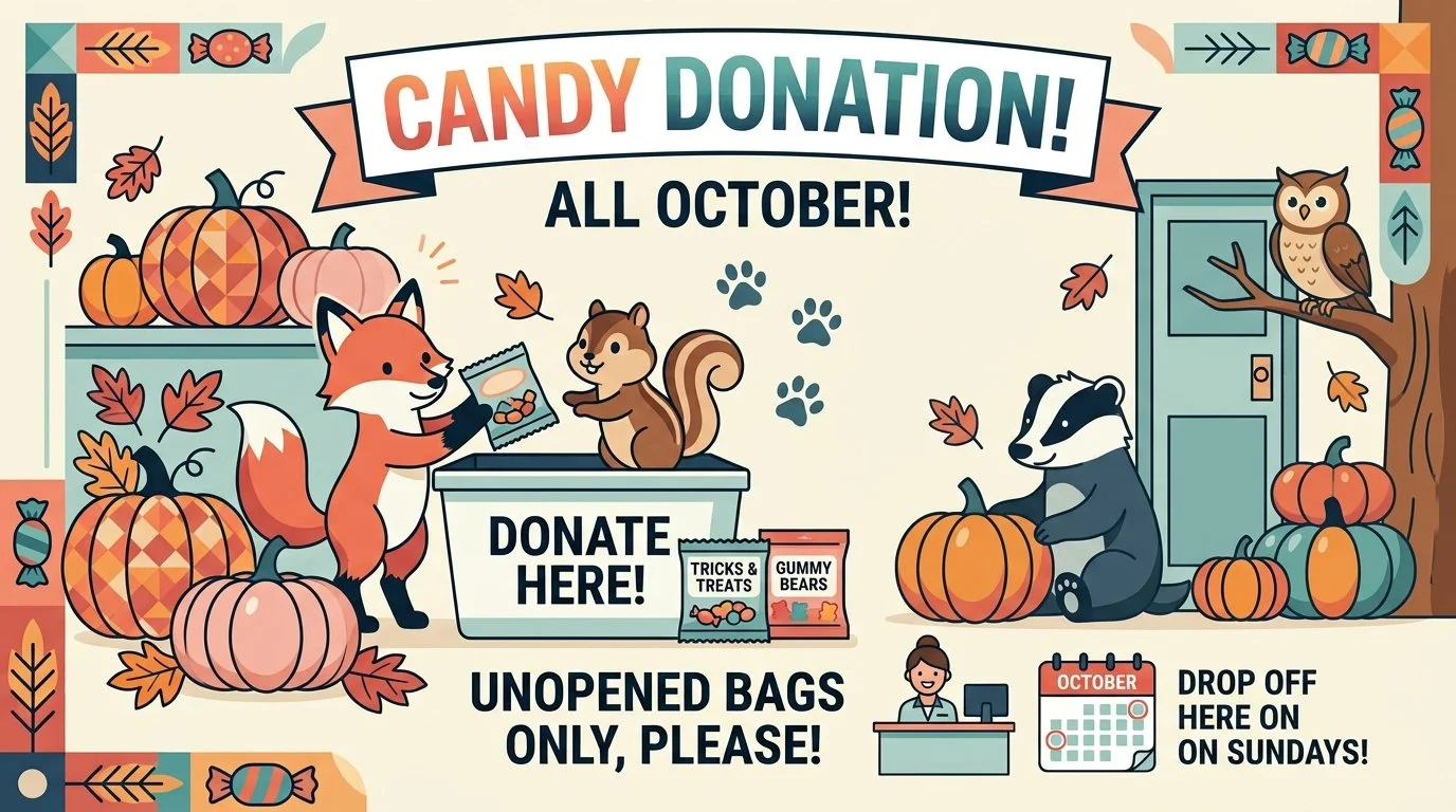 CANDY DONATIONS!