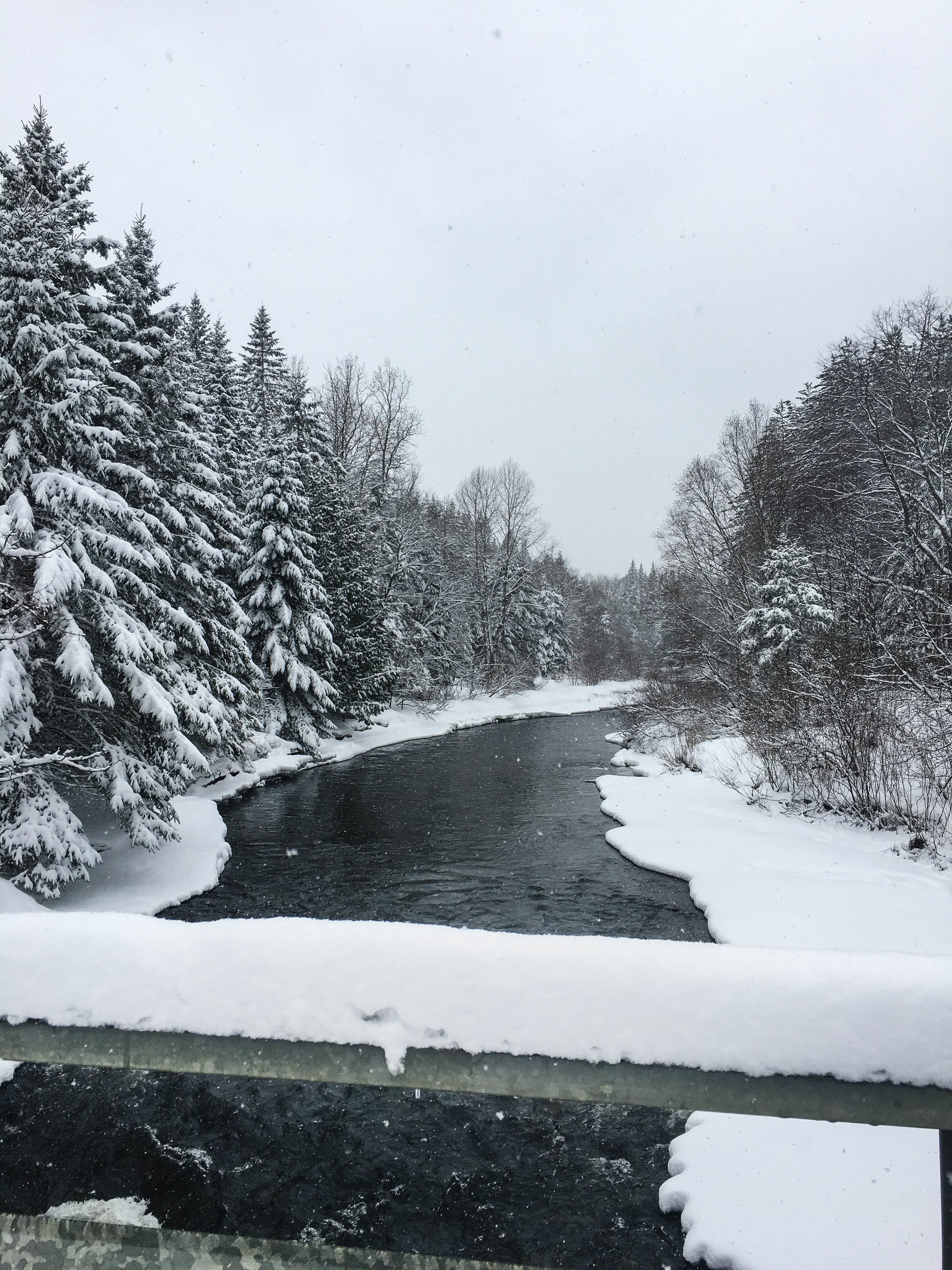 Walk in the mountains in Coaticook. There is a river, evergreens and a lot of snow