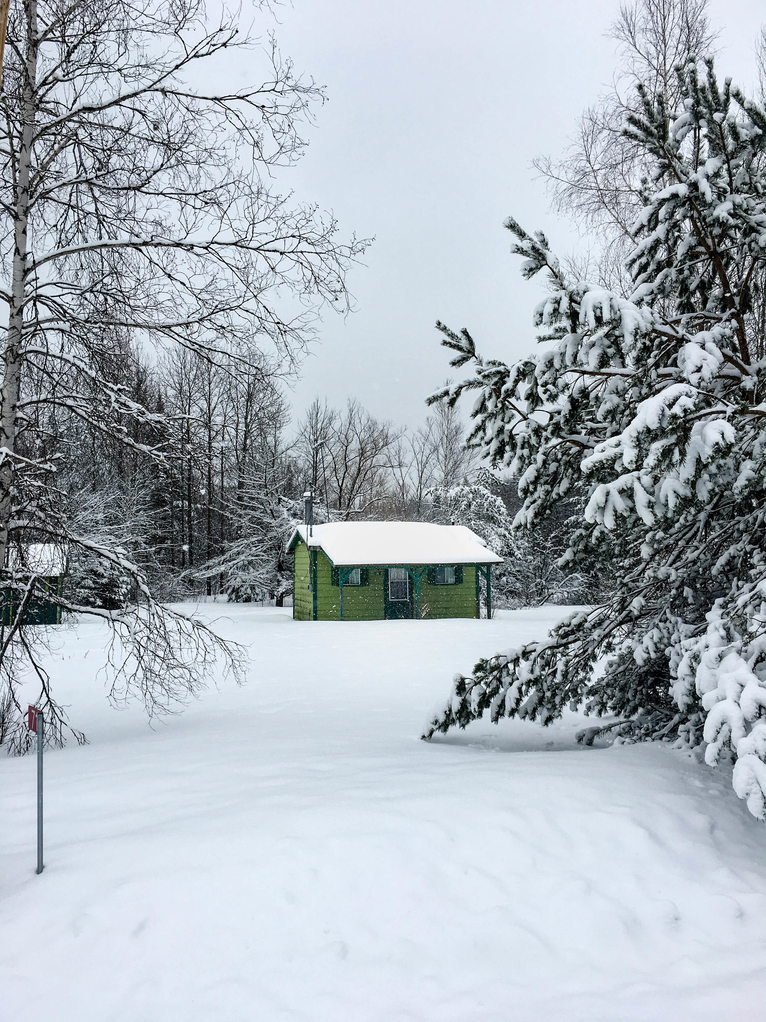 Walk in the mountains in Coaticook. There is a small green cabin in the middle of the forest with snow 