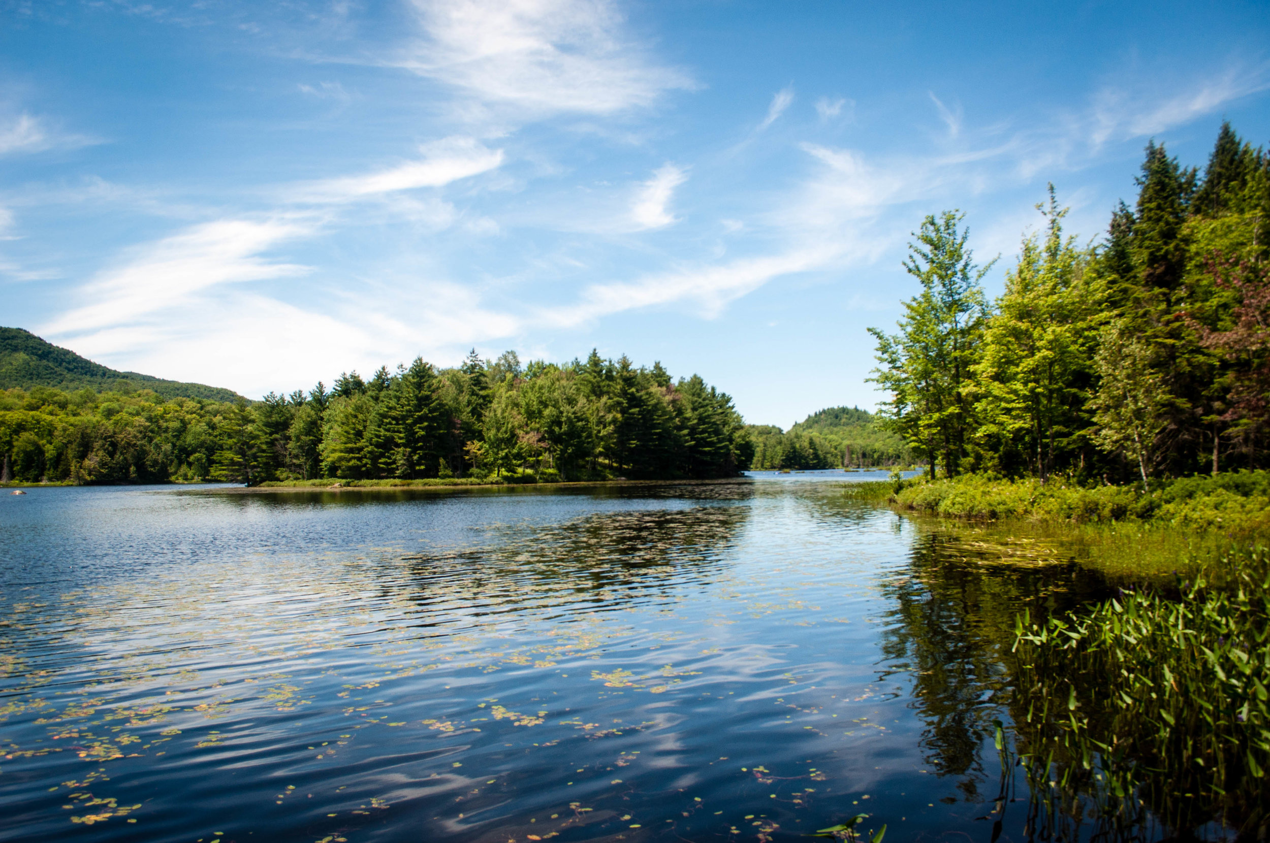 Lake and vegetation in Mont Orford