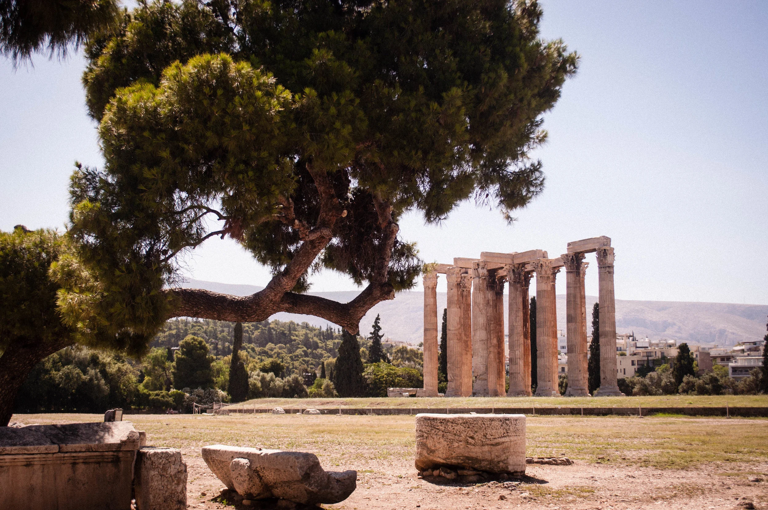 Ancient Greek Ruin in Athens with a tree on the foreground